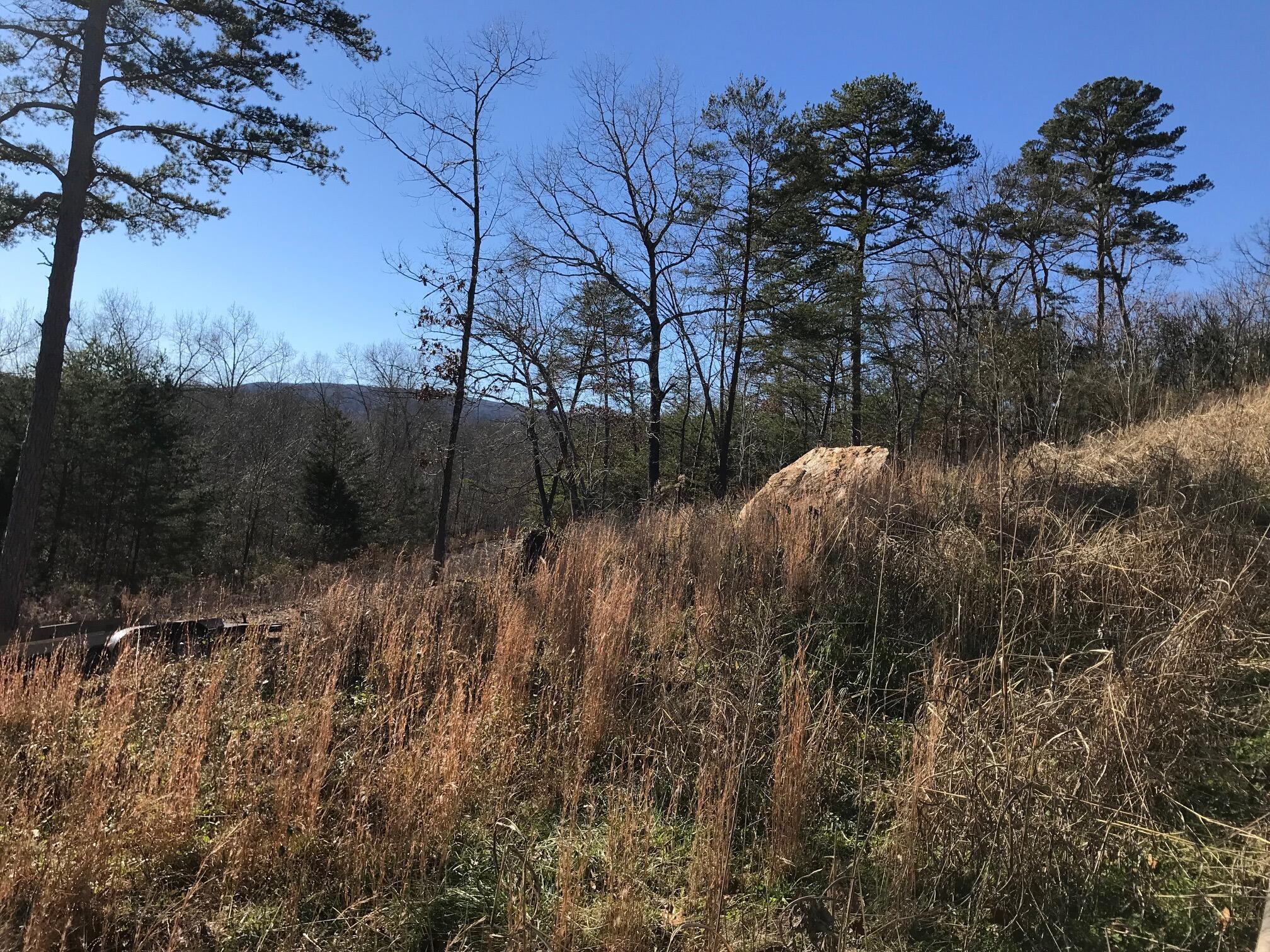 27 Hidden Ridge Loop #27, Dunlap, Tennessee image 4