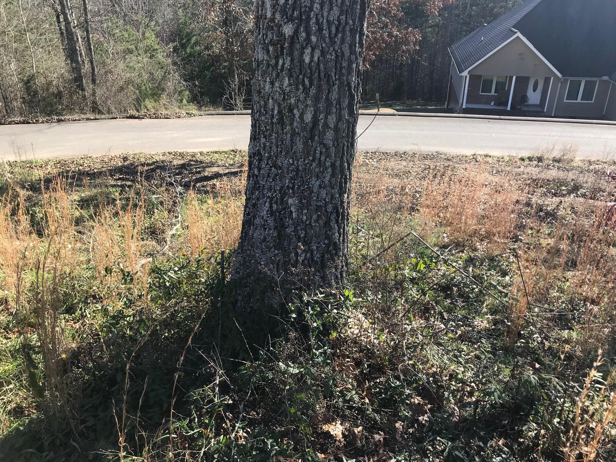 27 Hidden Ridge Loop #27, Dunlap, Tennessee image 8