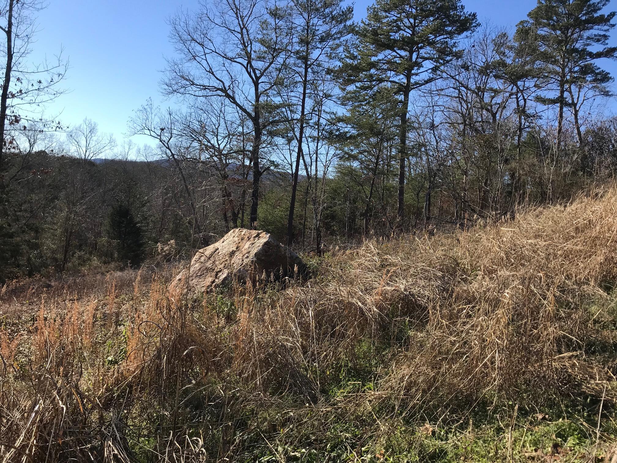 27 Hidden Ridge Loop #27, Dunlap, Tennessee image 3