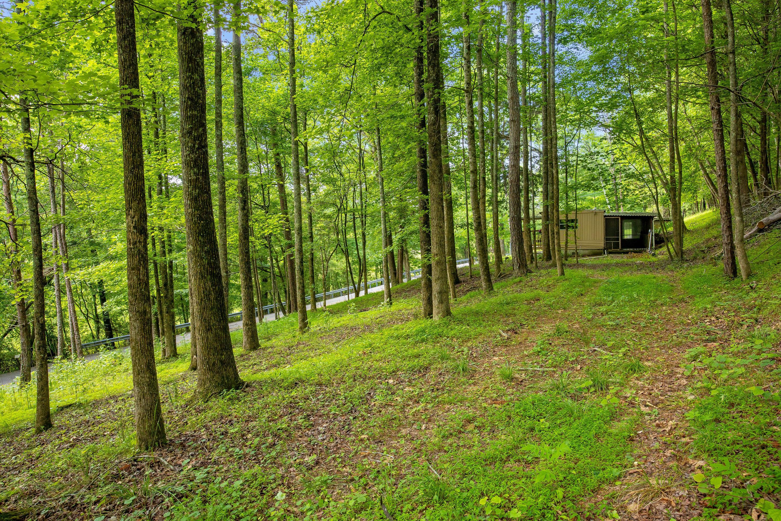 5203 Howardsville Road, Apison, Tennessee image 8