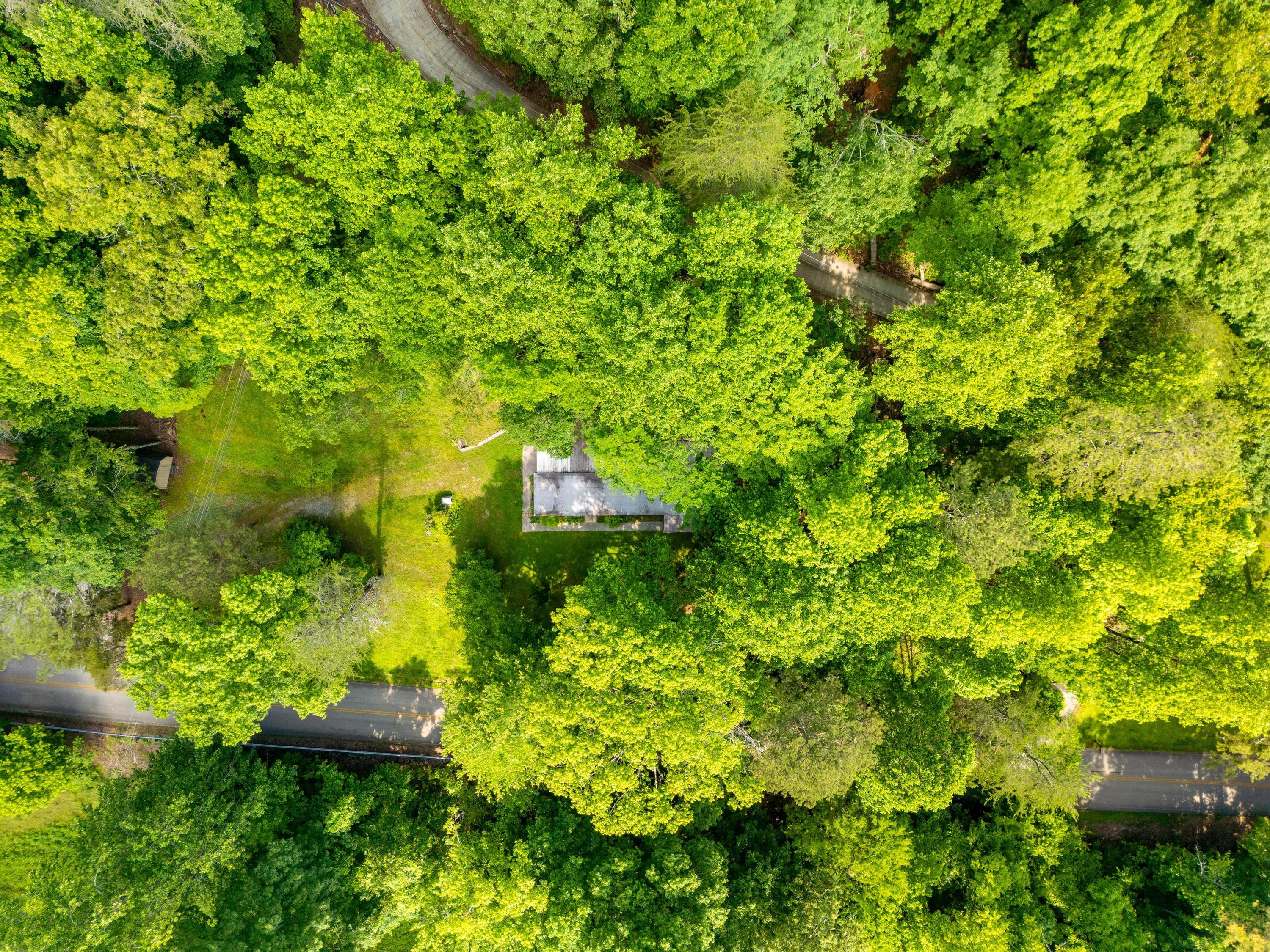 5203 Howardsville Road, Apison, Tennessee image 32