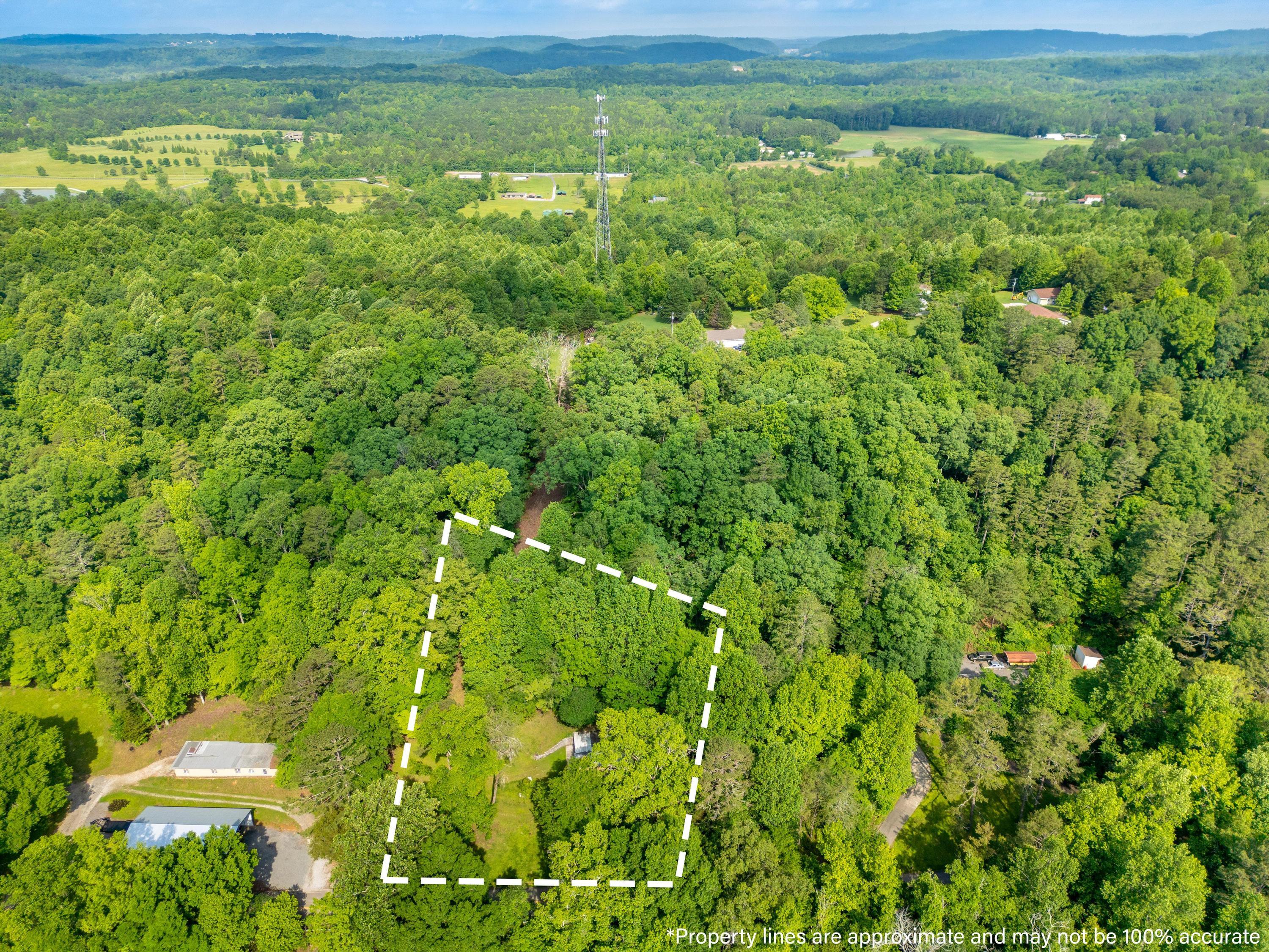 5203 Howardsville Road, Apison, Tennessee image 15