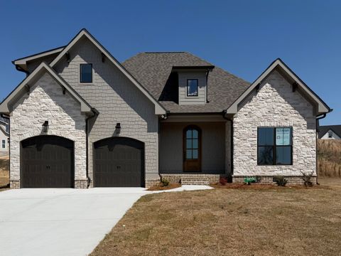 Photo of 10597 Brownspring Drive, Apison, TN 37302 (MLS # 1511084)