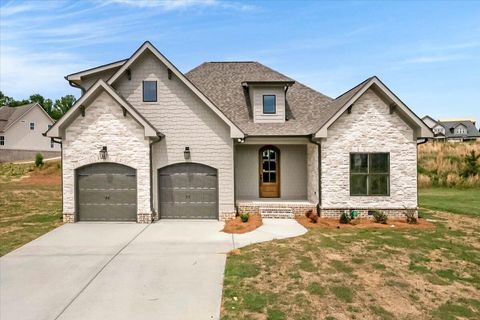 Homes For Sale - 10597 Brownspring Drive<br/> Apison, TN 37302