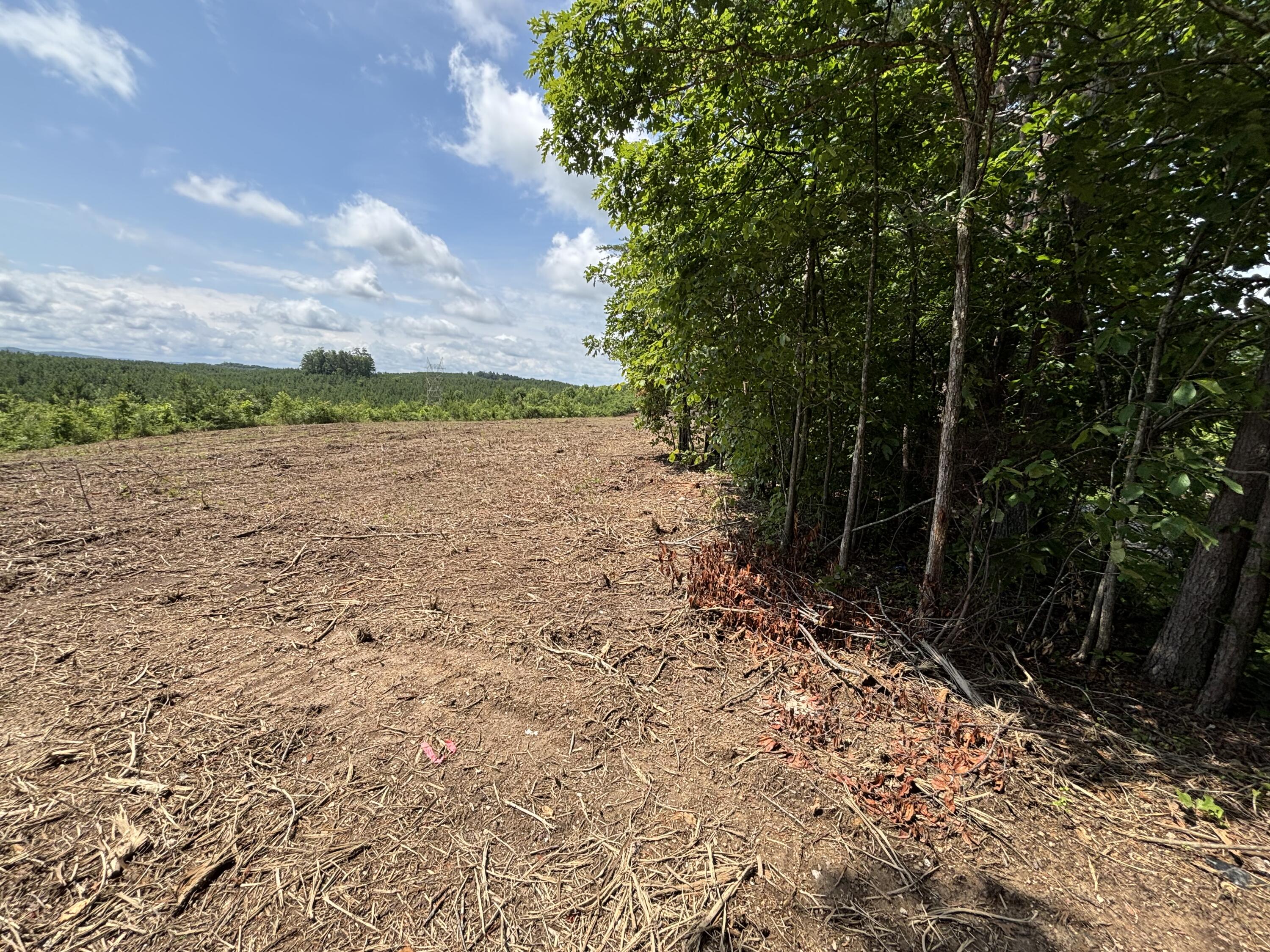 1 Lake Circle, Spring City, Tennessee image 8