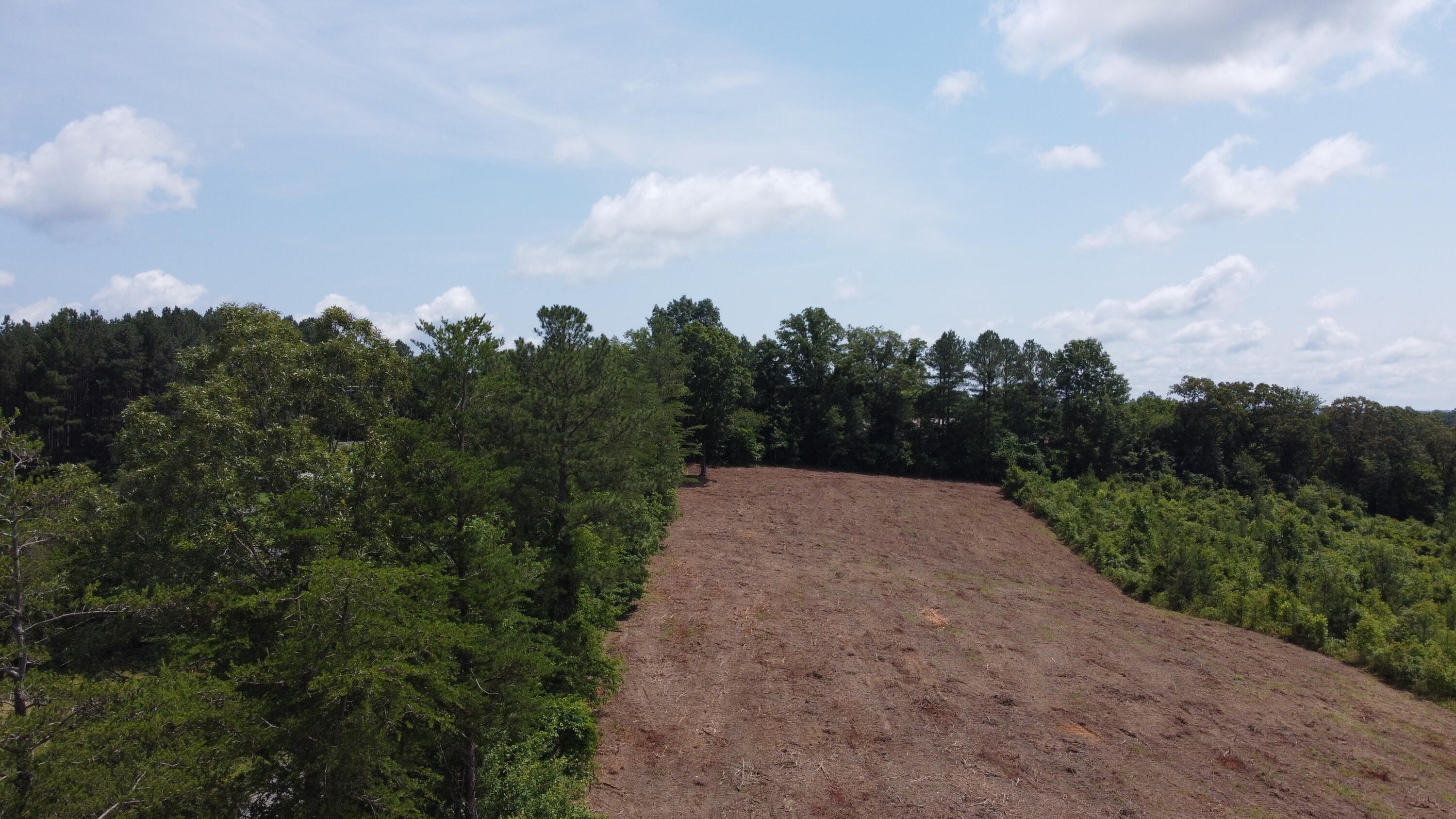 1 Lake Circle, Spring City, Tennessee image 16