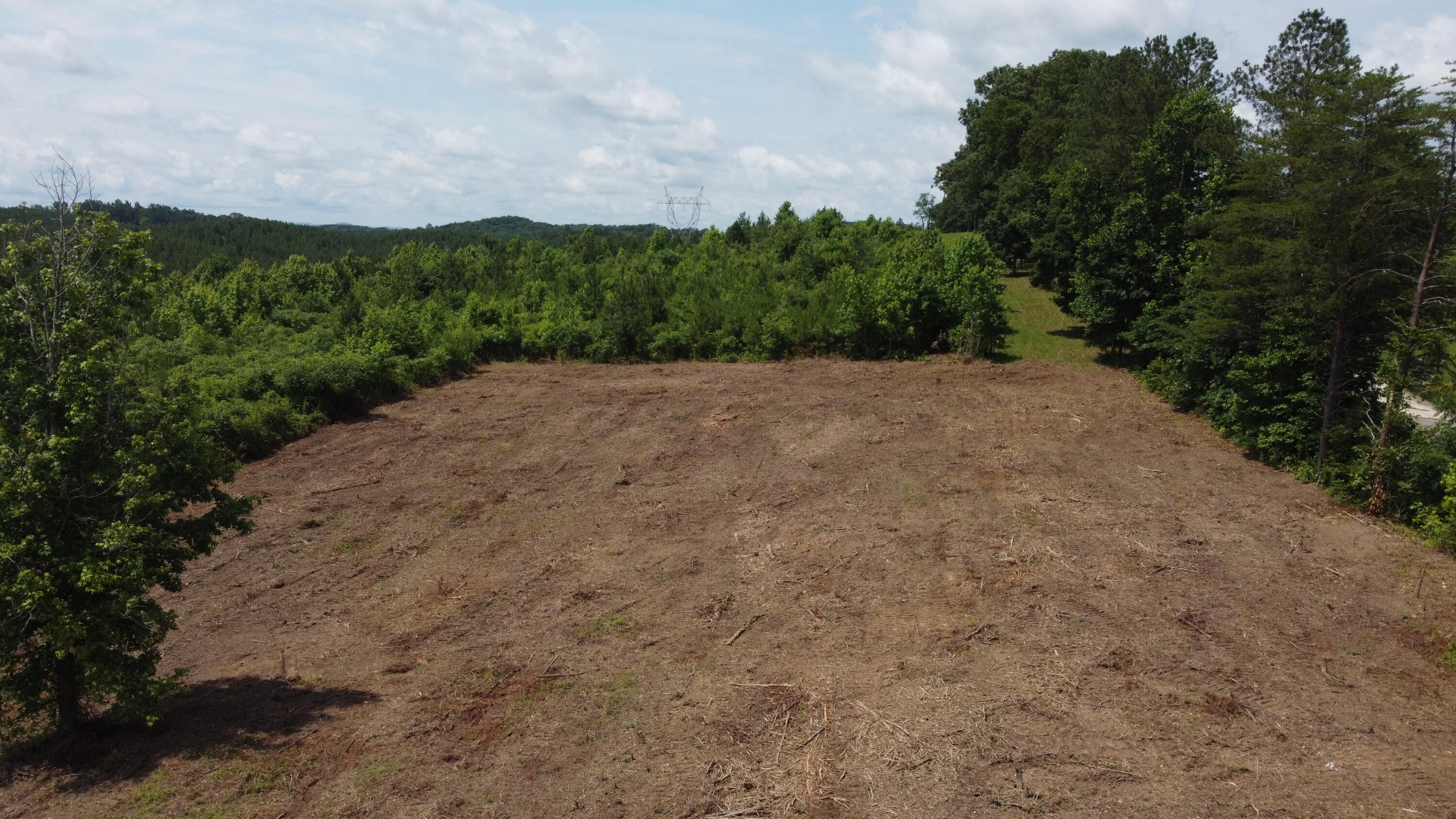 1 Lake Circle, Spring City, Tennessee image 26