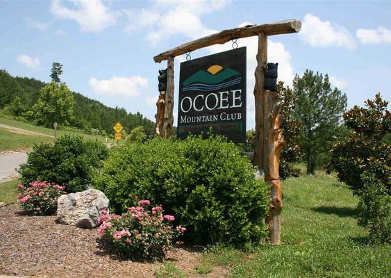 182 MOUNTAIN VIEW CIR, OCOEE, TN 37361 - Image 4edc4d759ca4f192eceb2d6262c9f112/200827938