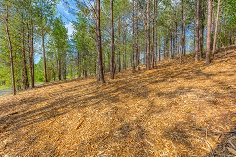 Vacant Land For Sale - 19 Turkey Ln<br/> Flintstone, GA 30725