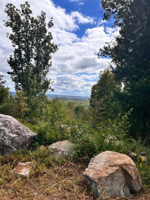 Vacant Land For Sale - 974 Bluff Ledge Trail<br/> Hixson, TN 37343
