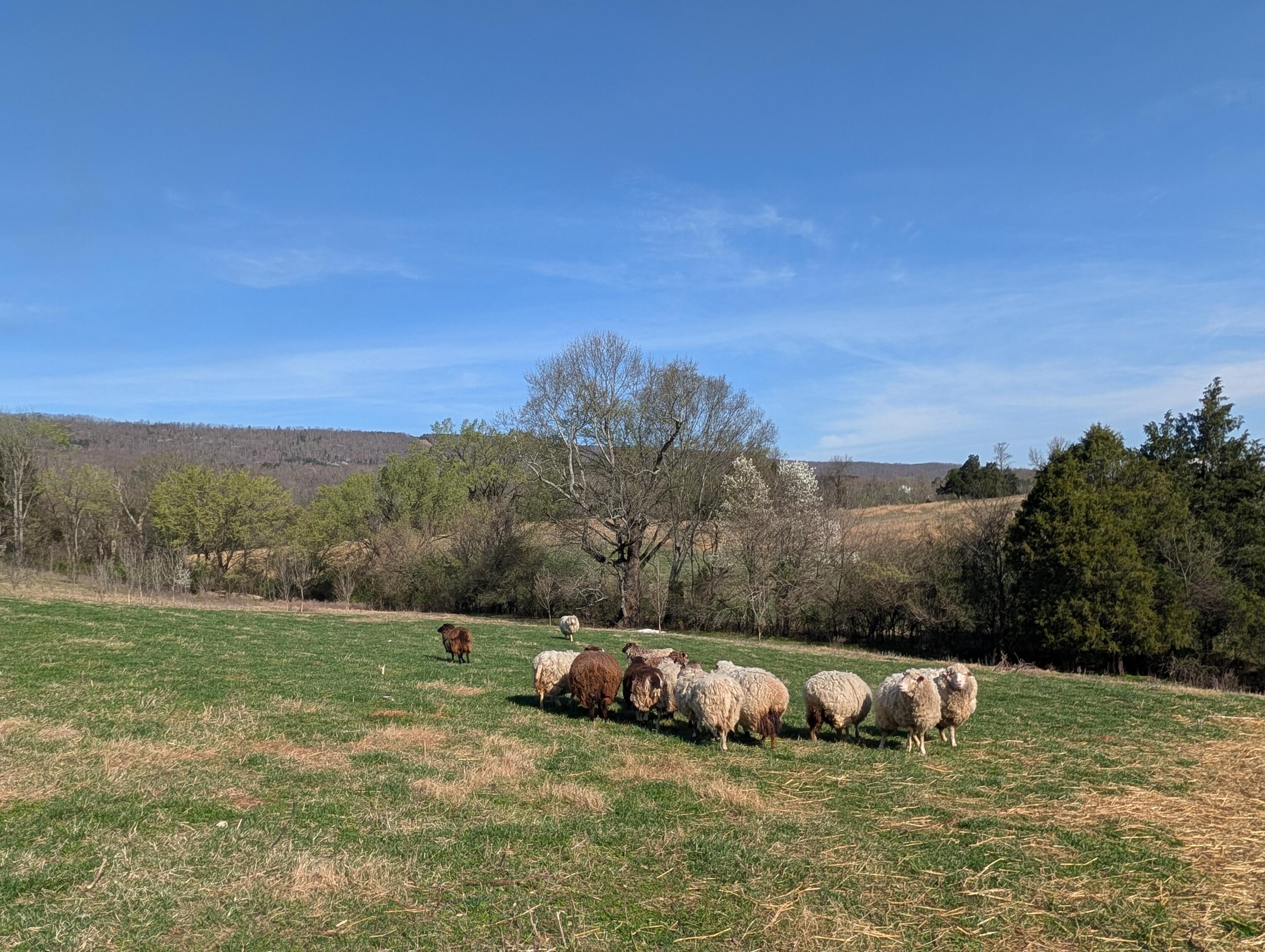 4637 Ideal Valley Road