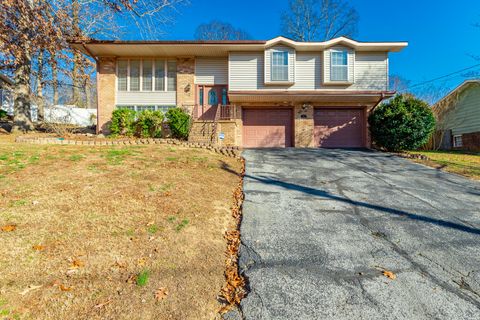 Photo of 909 Spurling Drive, Hixson, TN 37343 (MLS # 1526353)
