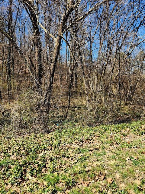Tiny photo for 8821 Gann Road, Soddy Daisy, TN 37379 (MLS # 1527283)