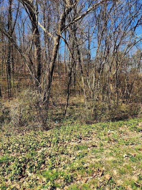 Tiny photo for 8821 Gann Road, Soddy Daisy, TN 37379 (MLS # 1527283)