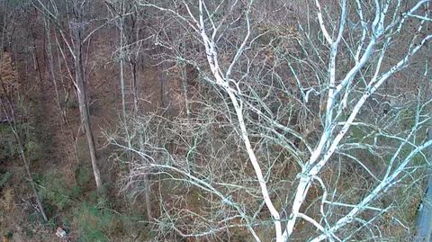 Tiny photo for 8821 Gann Road, Soddy Daisy, TN 37379 (MLS # 1527283)