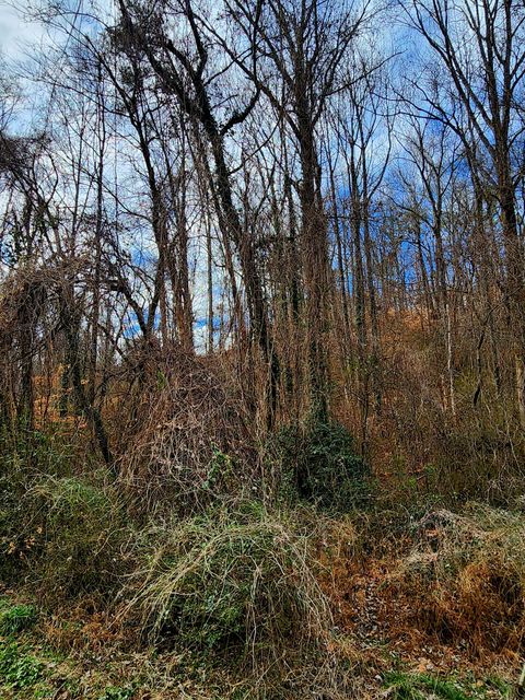 Tiny photo for 8821 Gann Road, Soddy Daisy, TN 37379 (MLS # 1527283)