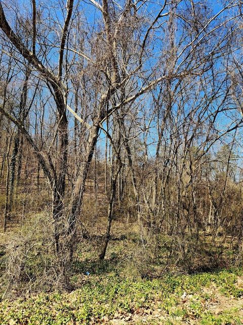 Tiny photo for 8821 Gann Road, Soddy Daisy, TN 37379 (MLS # 1527283)