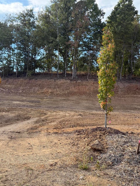 Vacant Land For Sale - LOT 54B Northside Drive<br/> Cleveland, TN 37312