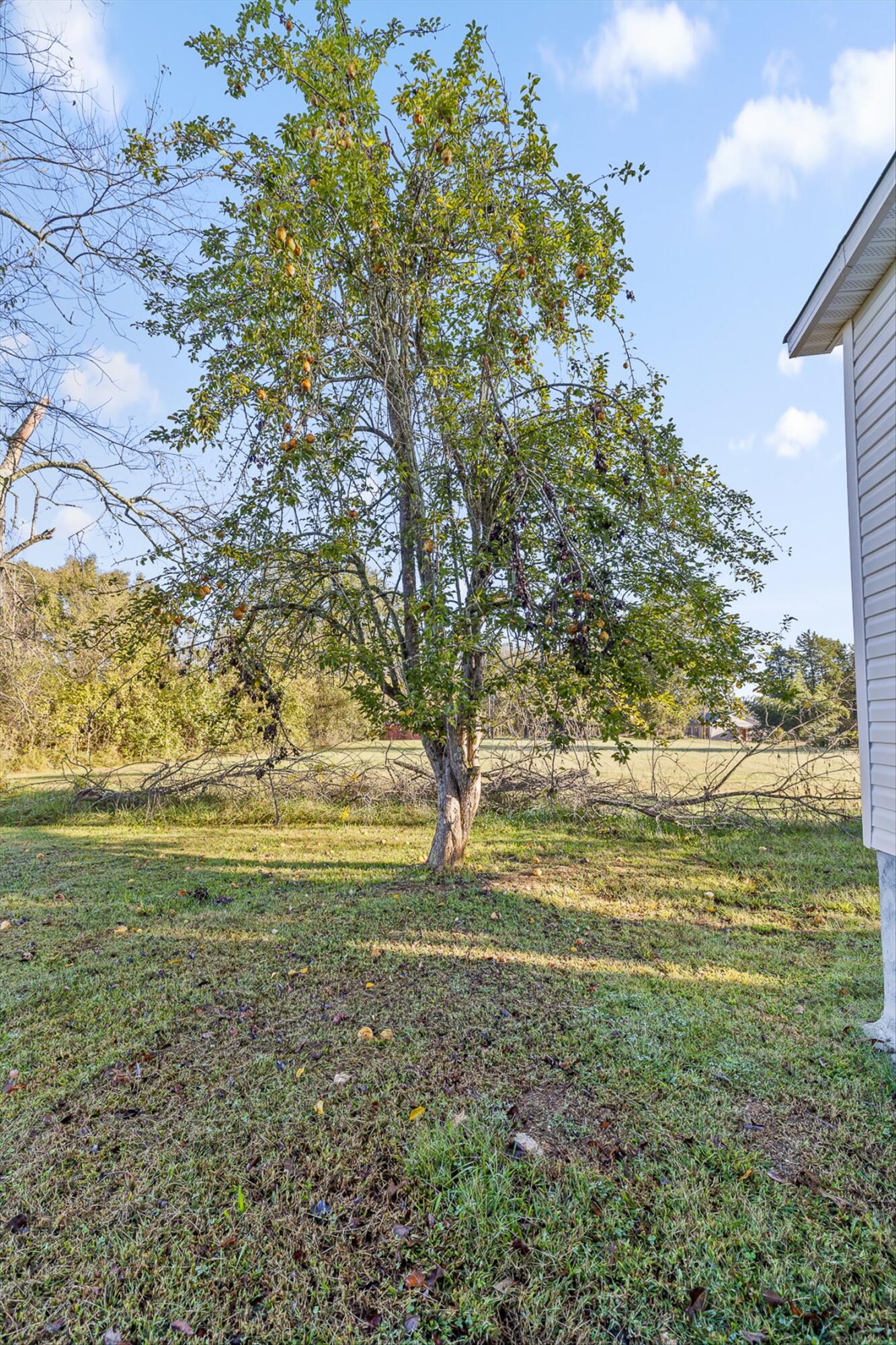 Jasper, Tennessee 37347, United States, 3 Bedrooms Bedrooms, ,2 BathroomsBathrooms,Residential,Active,220698