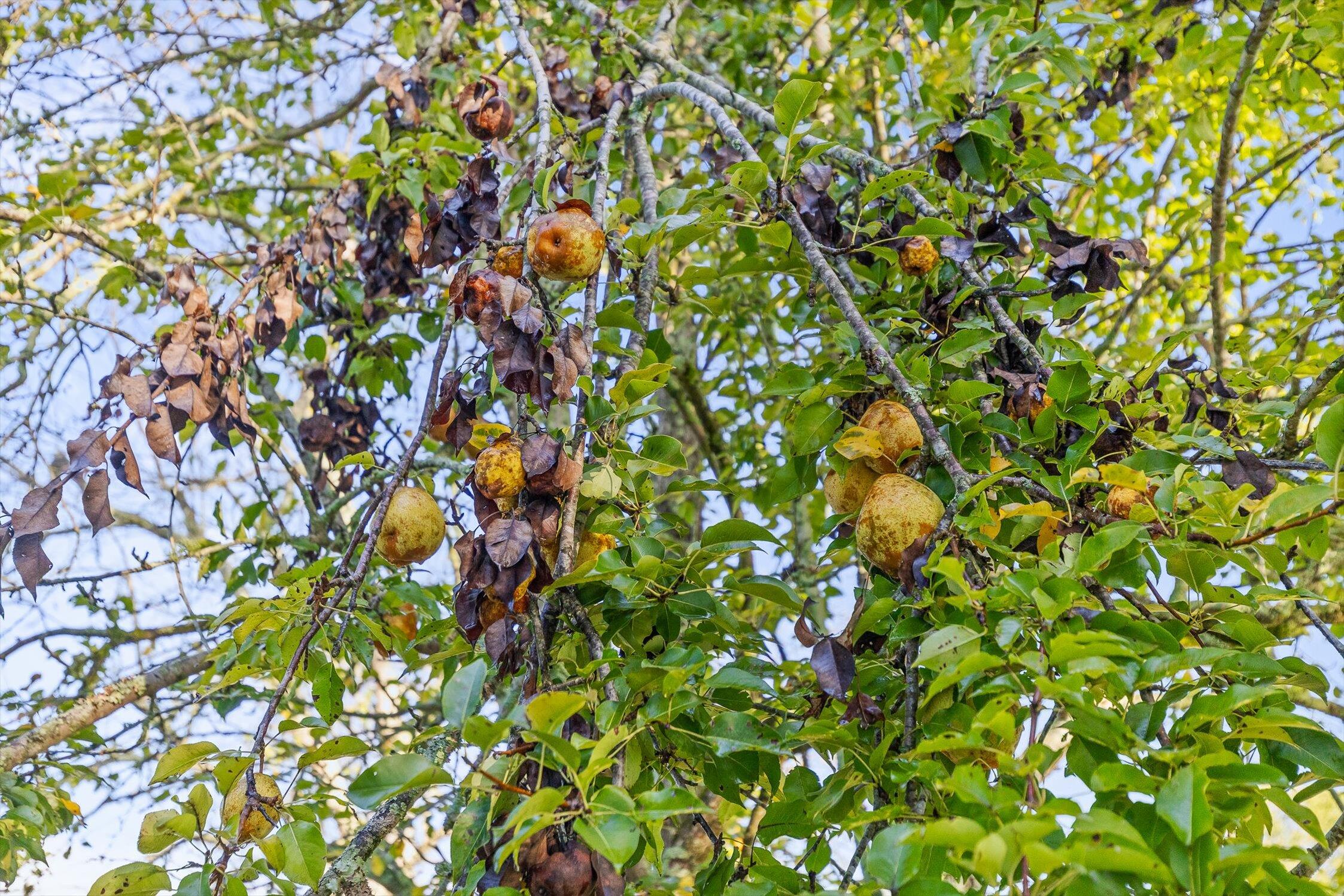 Jasper, Tennessee 37347, United States, 3 Bedrooms Bedrooms, ,2 BathroomsBathrooms,Residential,Active,220698