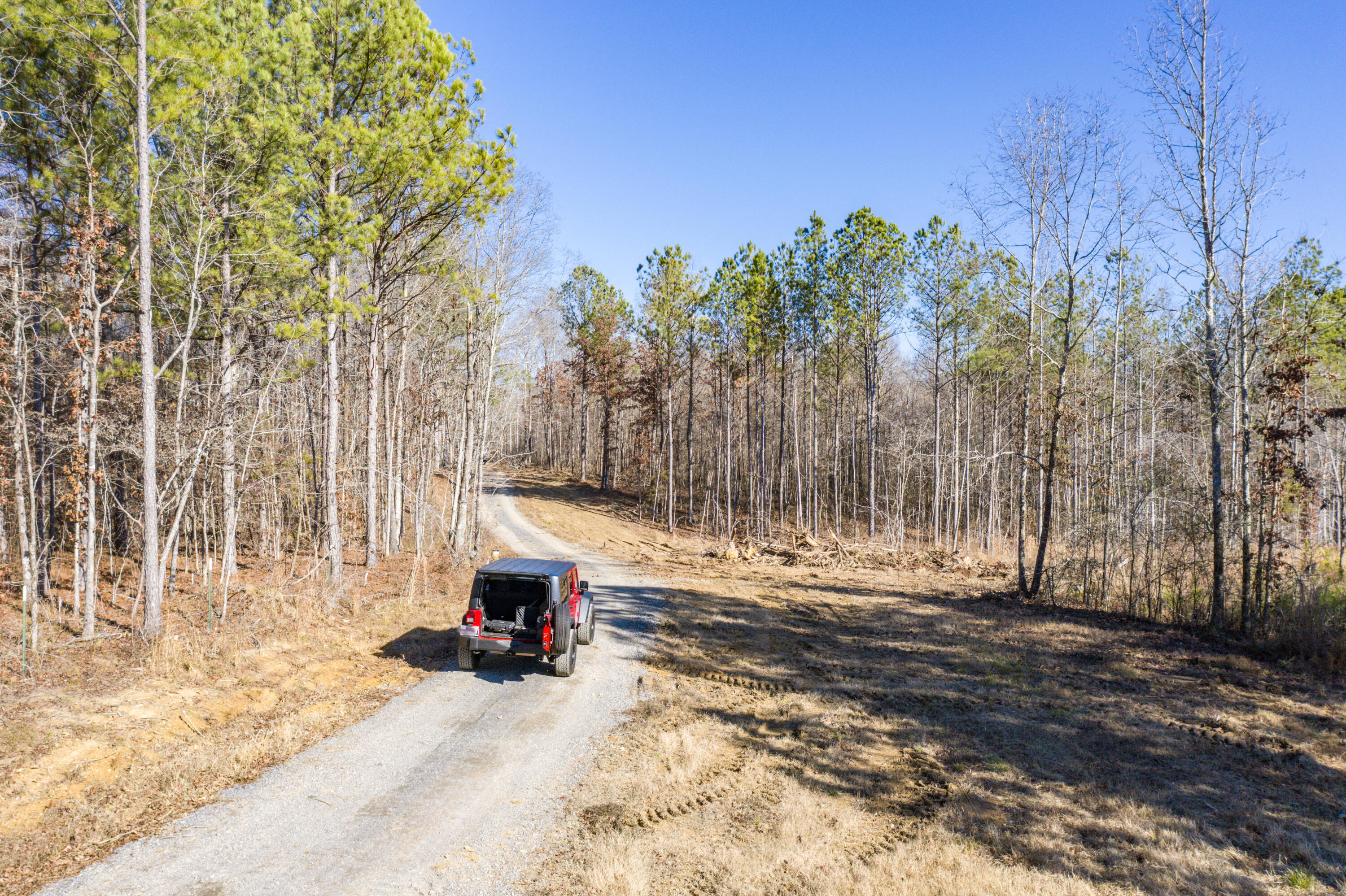 39.19ac SE Trewhitt Road, Cleveland, Tennessee image 14