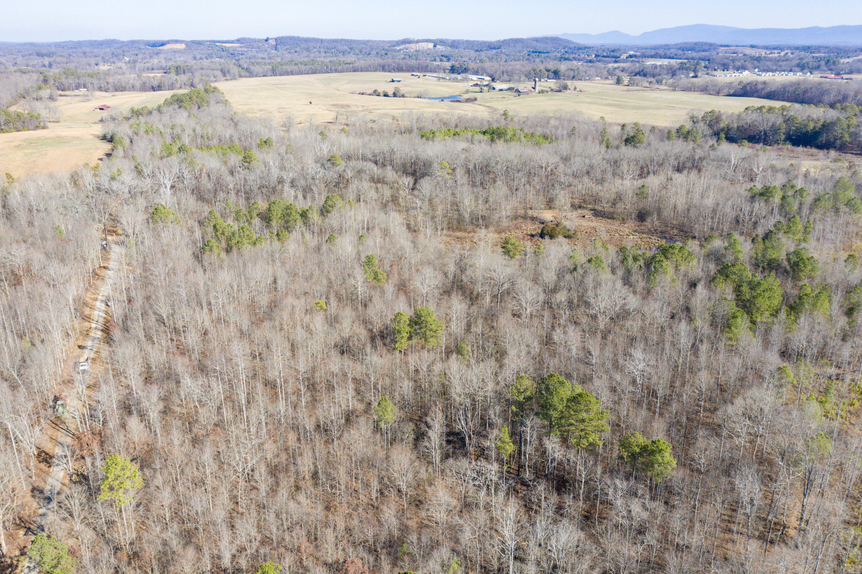 39.19ac SE Trewhitt Road, Cleveland, Tennessee image 27