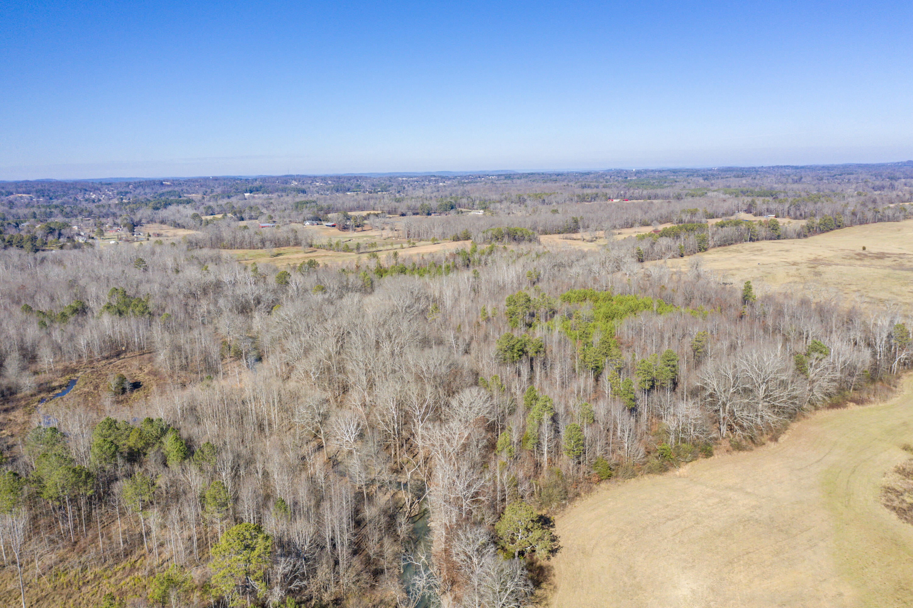 39.19ac SE Trewhitt Road, Cleveland, Tennessee image 22