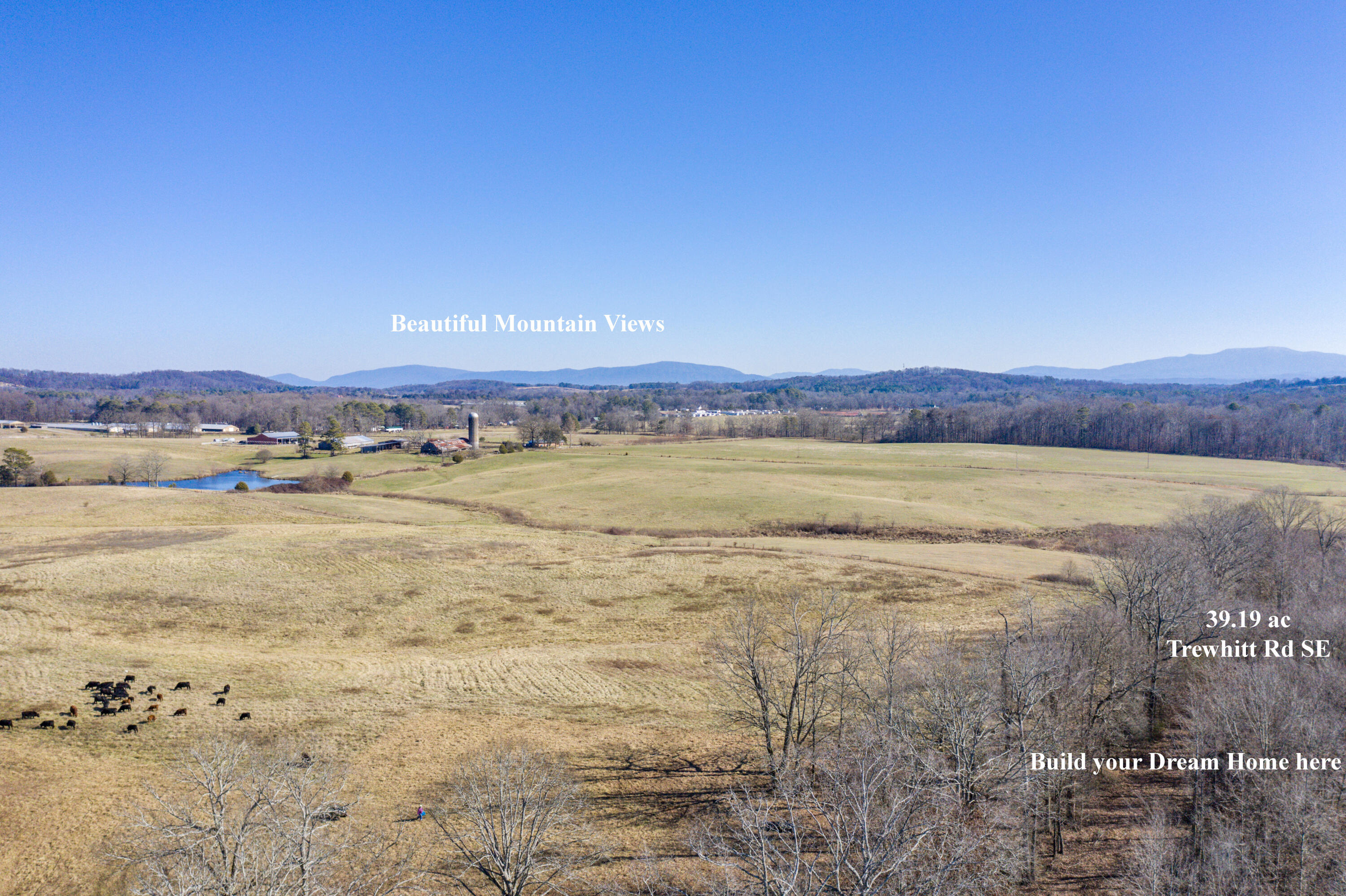 39.19ac SE Trewhitt Road, Cleveland, Tennessee image 6