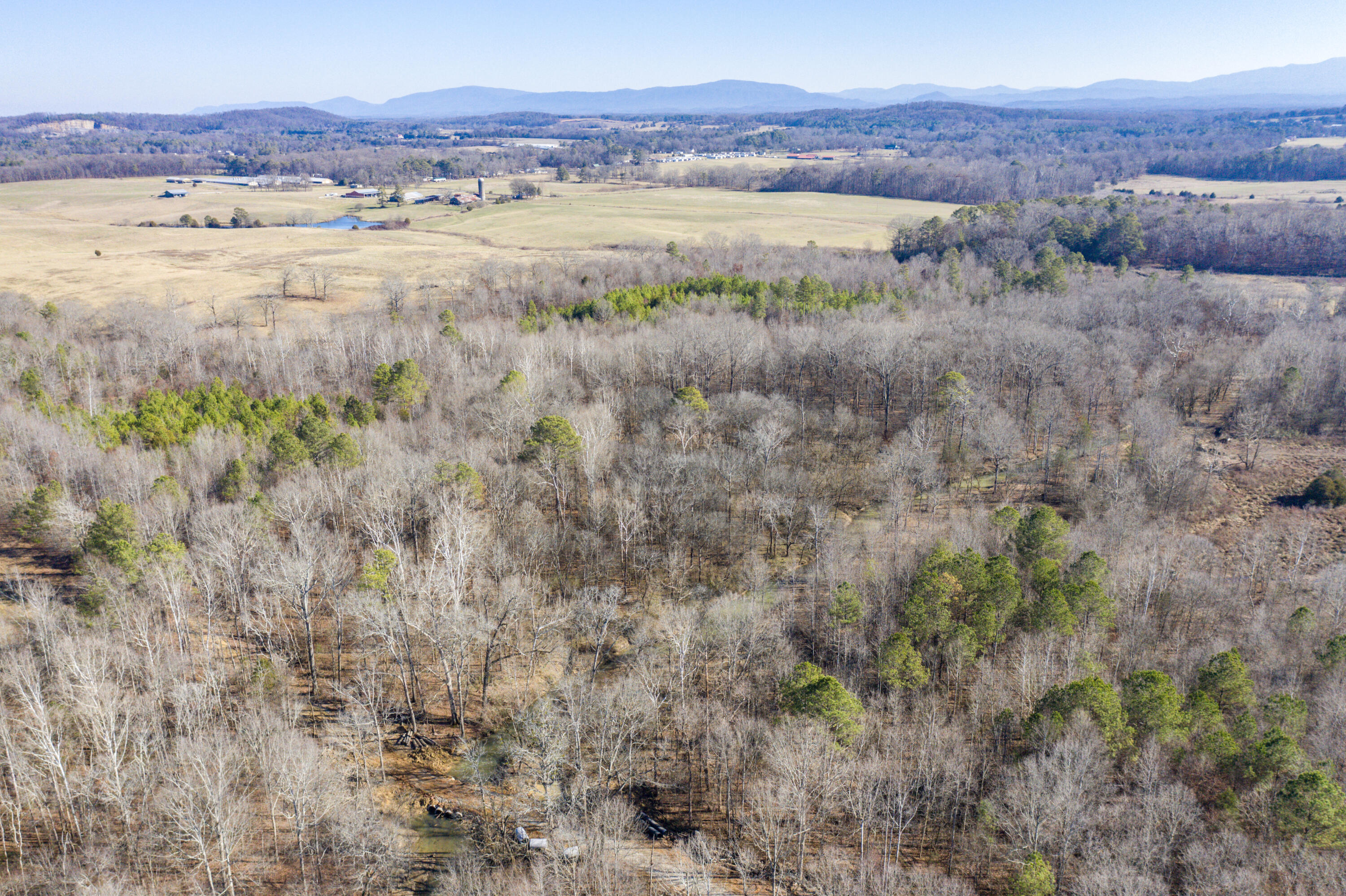 39.19ac SE Trewhitt Road, Cleveland, Tennessee image 17