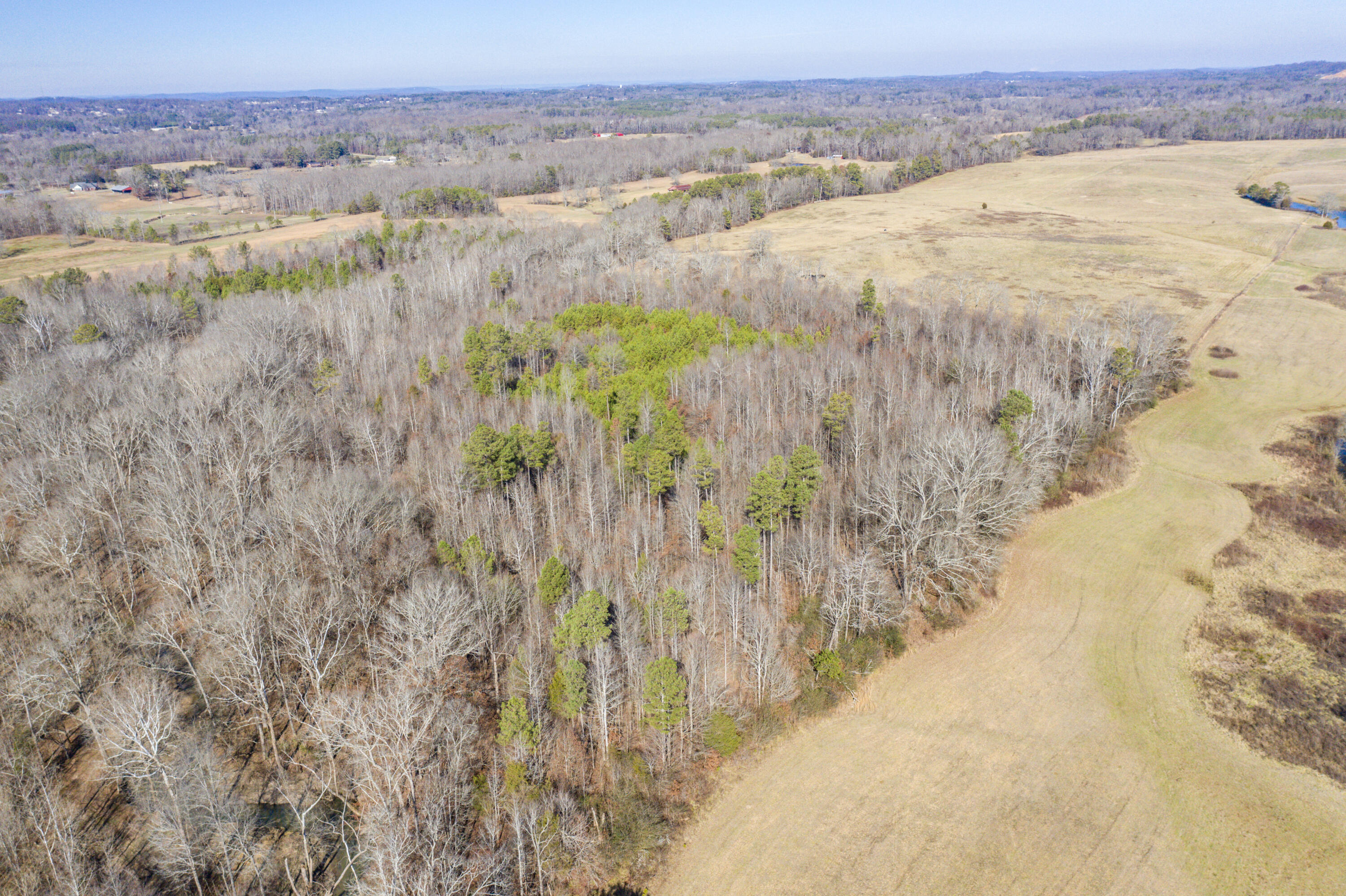 39.19ac SE Trewhitt Road, Cleveland, Tennessee image 21