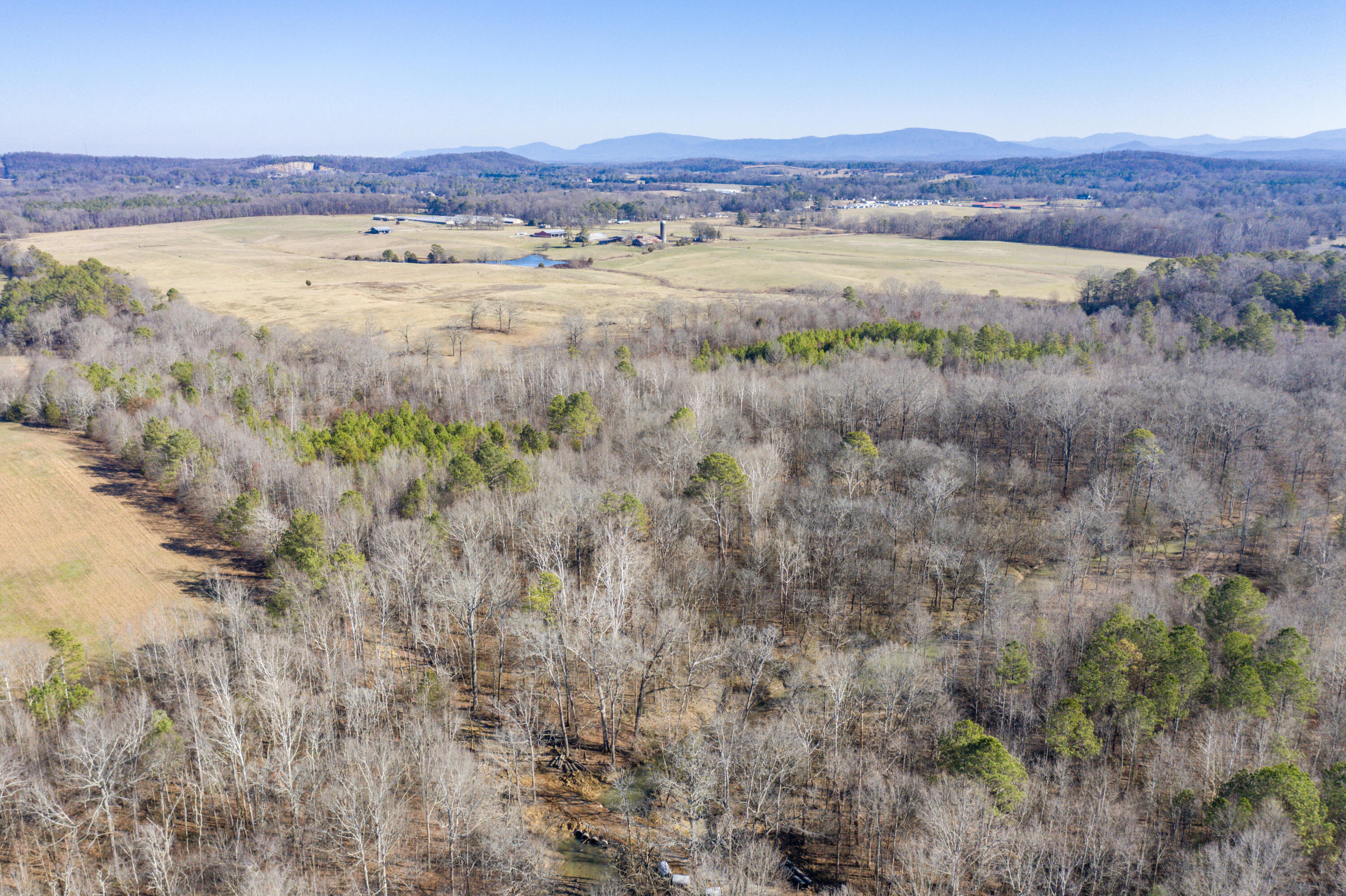 39.19ac SE Trewhitt Road, Cleveland, Tennessee image 18