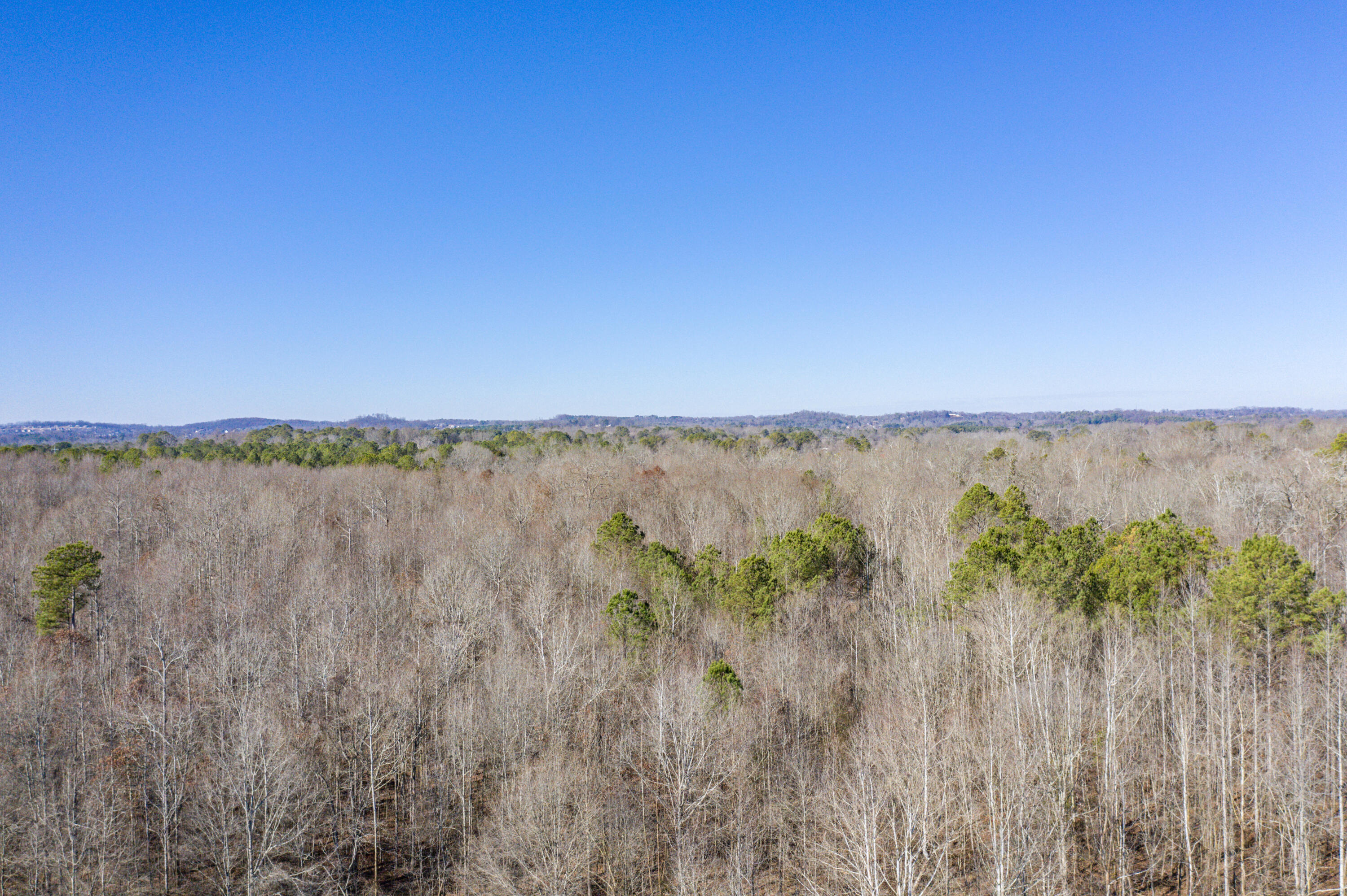 39.19ac SE Trewhitt Road, Cleveland, Tennessee image 31