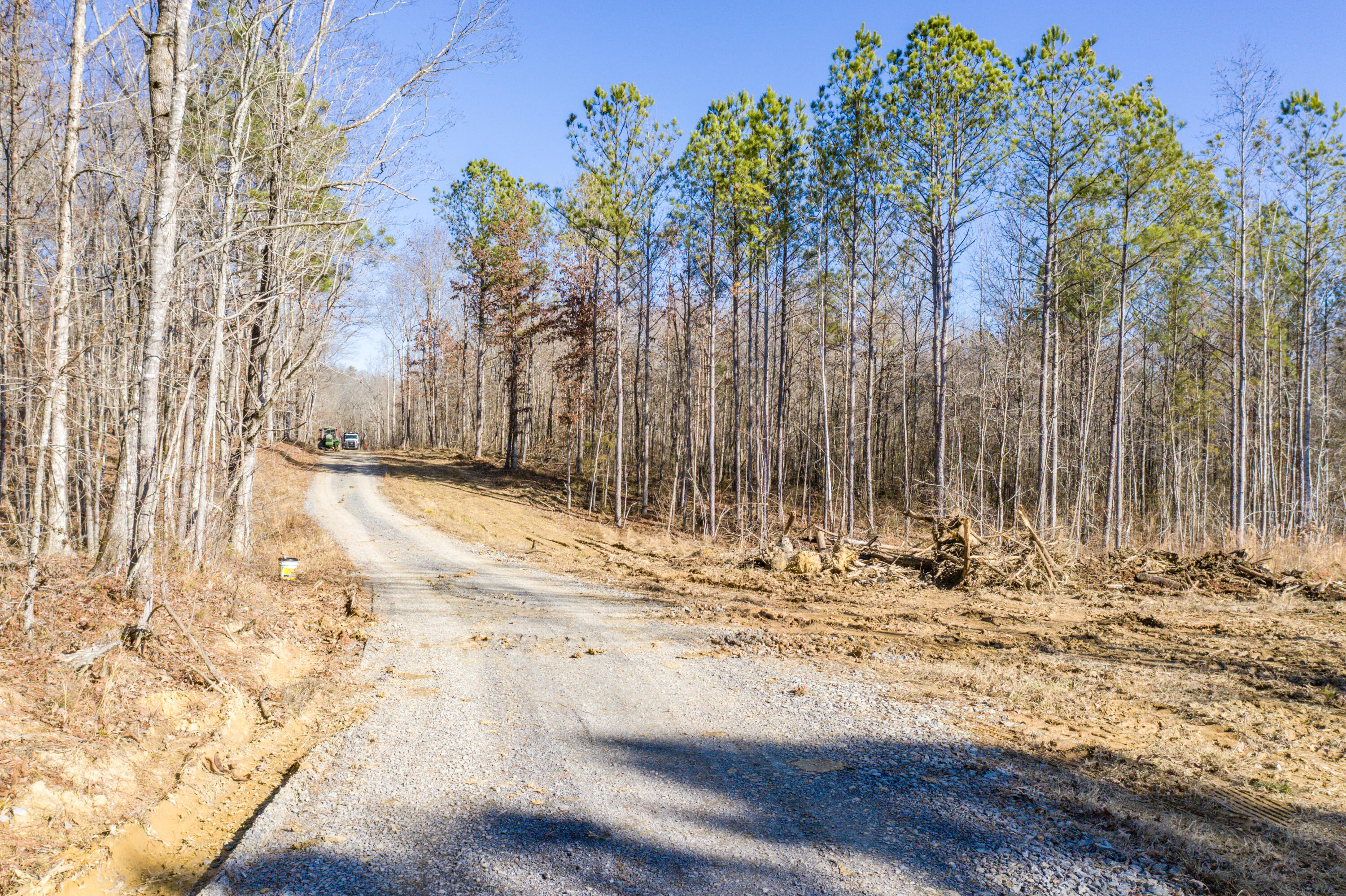 39.19ac SE Trewhitt Road, Cleveland, Tennessee image 5