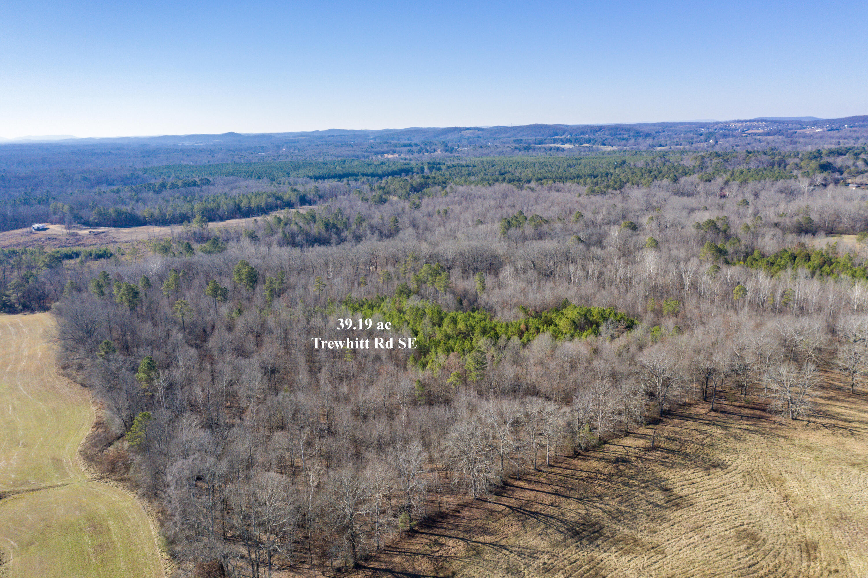 39.19ac SE Trewhitt Road, Cleveland, Tennessee image 11