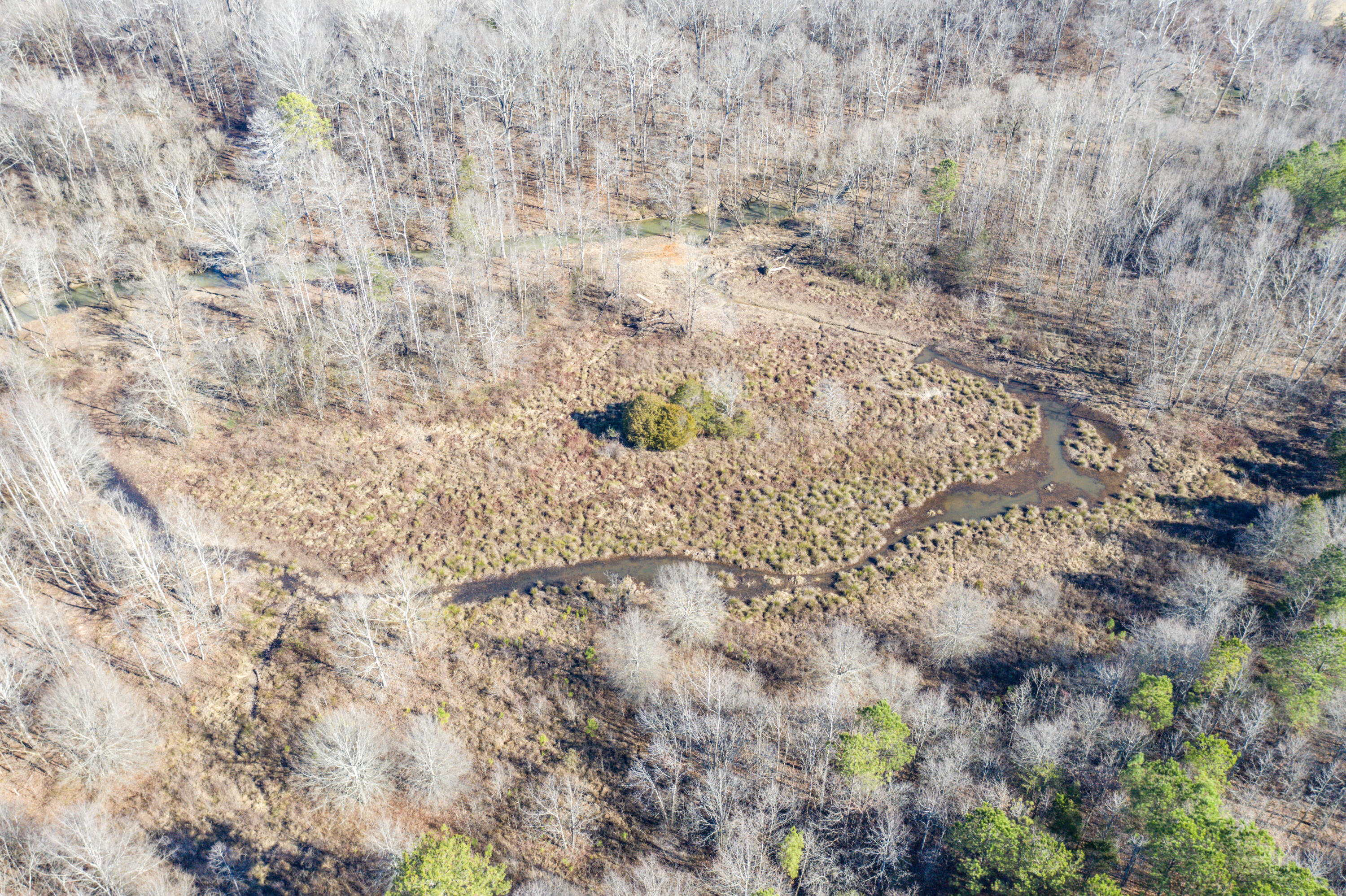 39.19ac SE Trewhitt Road, Cleveland, Tennessee image 28