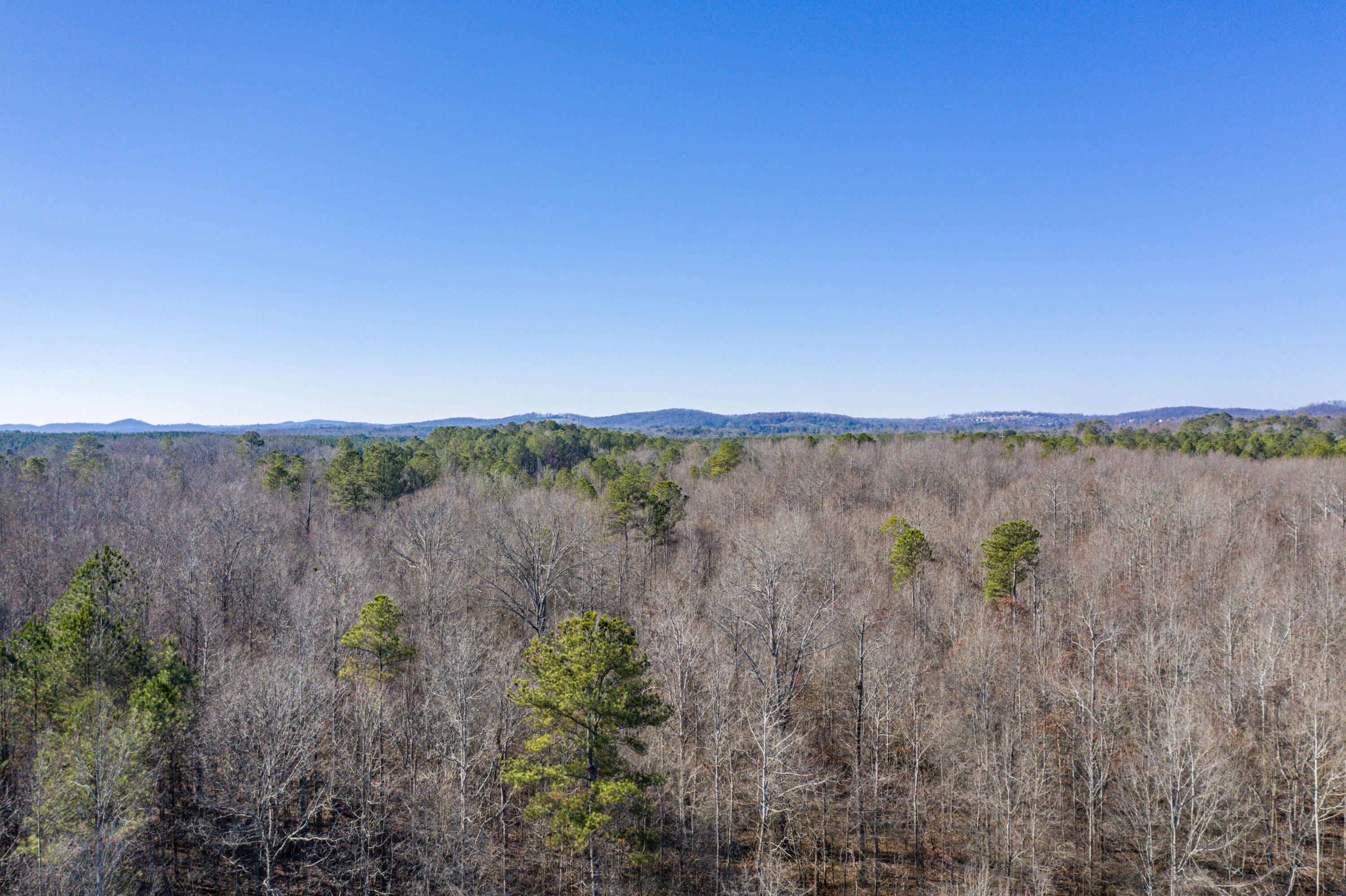 39.19ac SE Trewhitt Road, Cleveland, Tennessee image 32