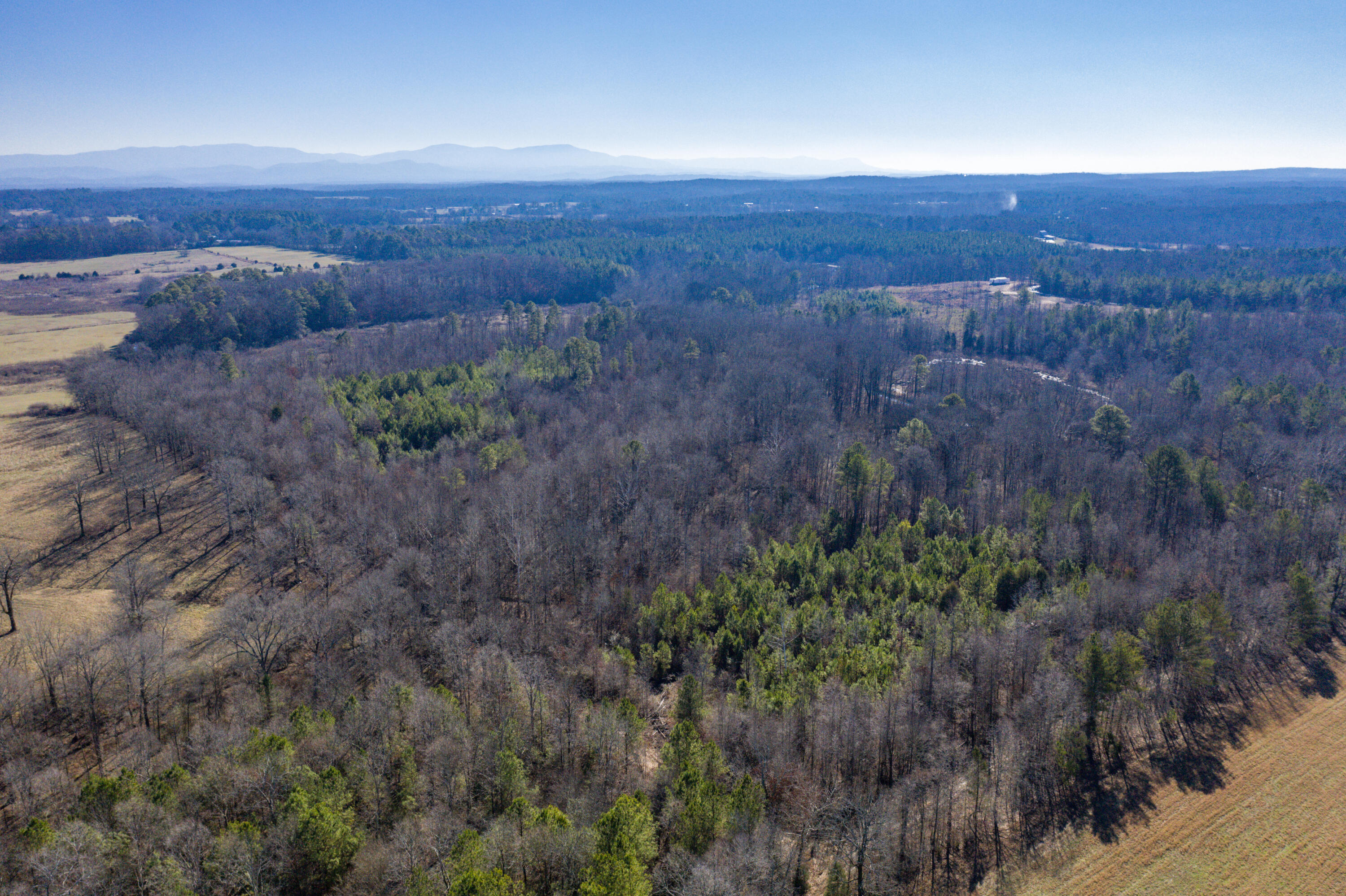 39.19ac SE Trewhitt Road, Cleveland, Tennessee image 19