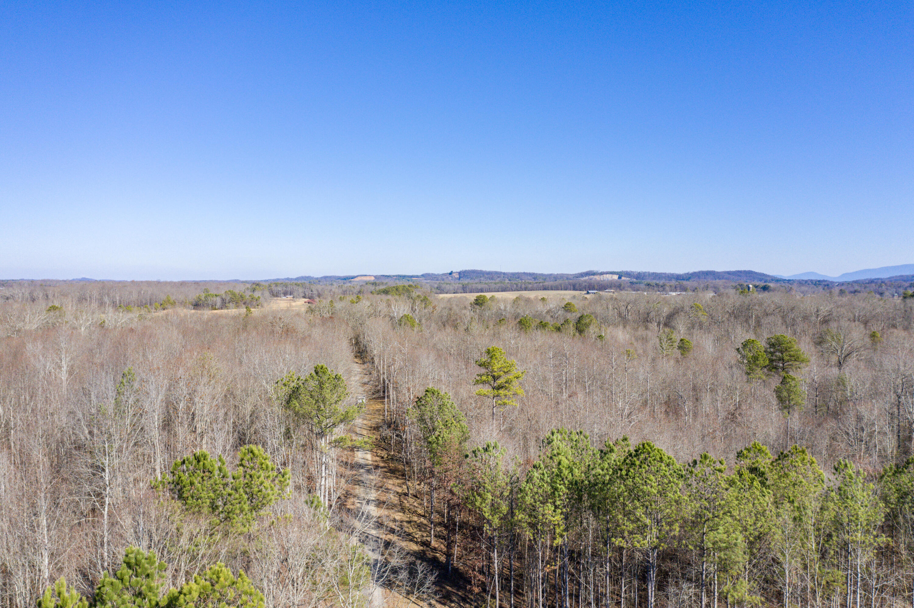 39.19ac SE Trewhitt Road, Cleveland, Tennessee image 16