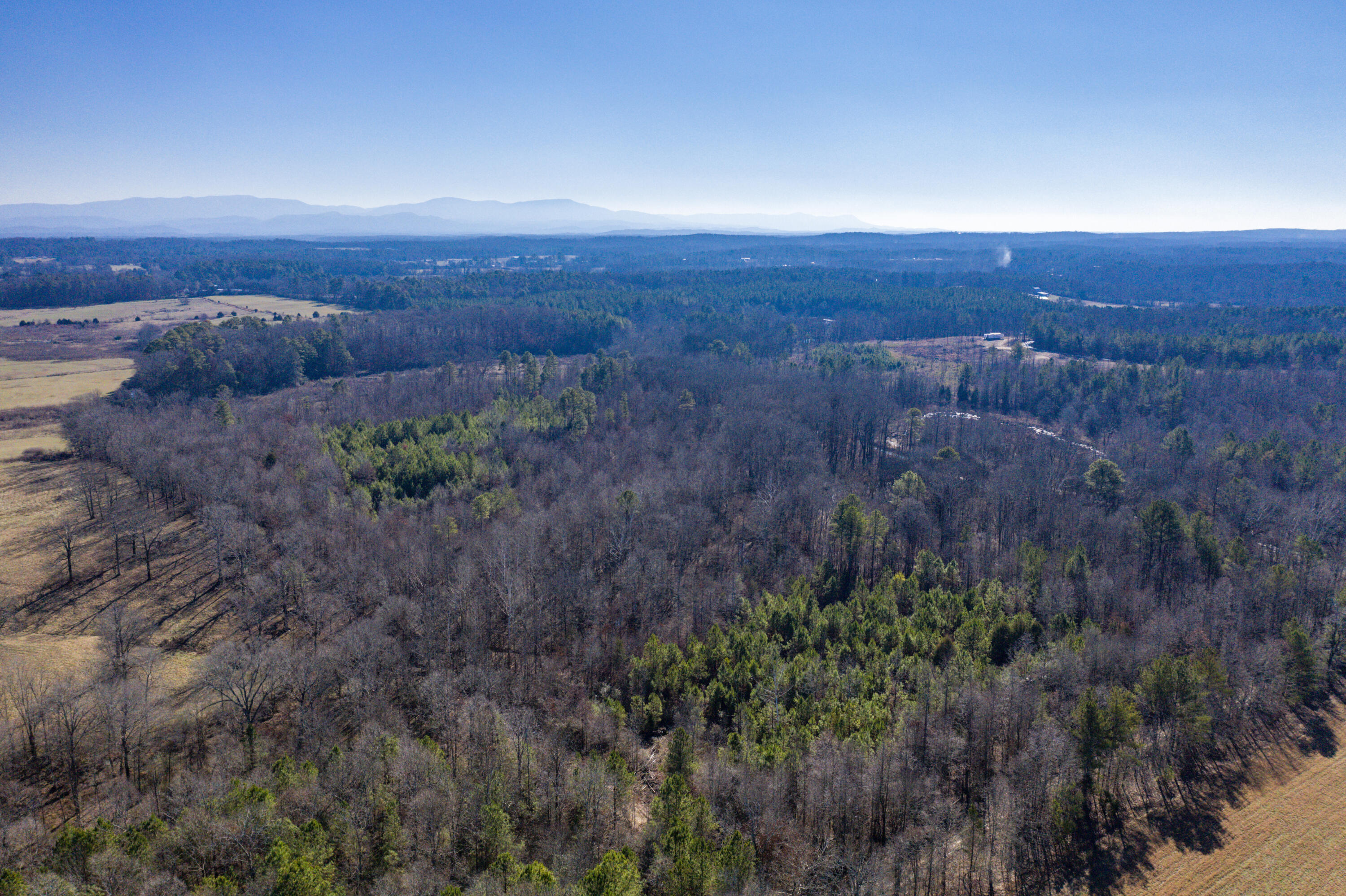 39.19ac SE Trewhitt Road, Cleveland, Tennessee image 20