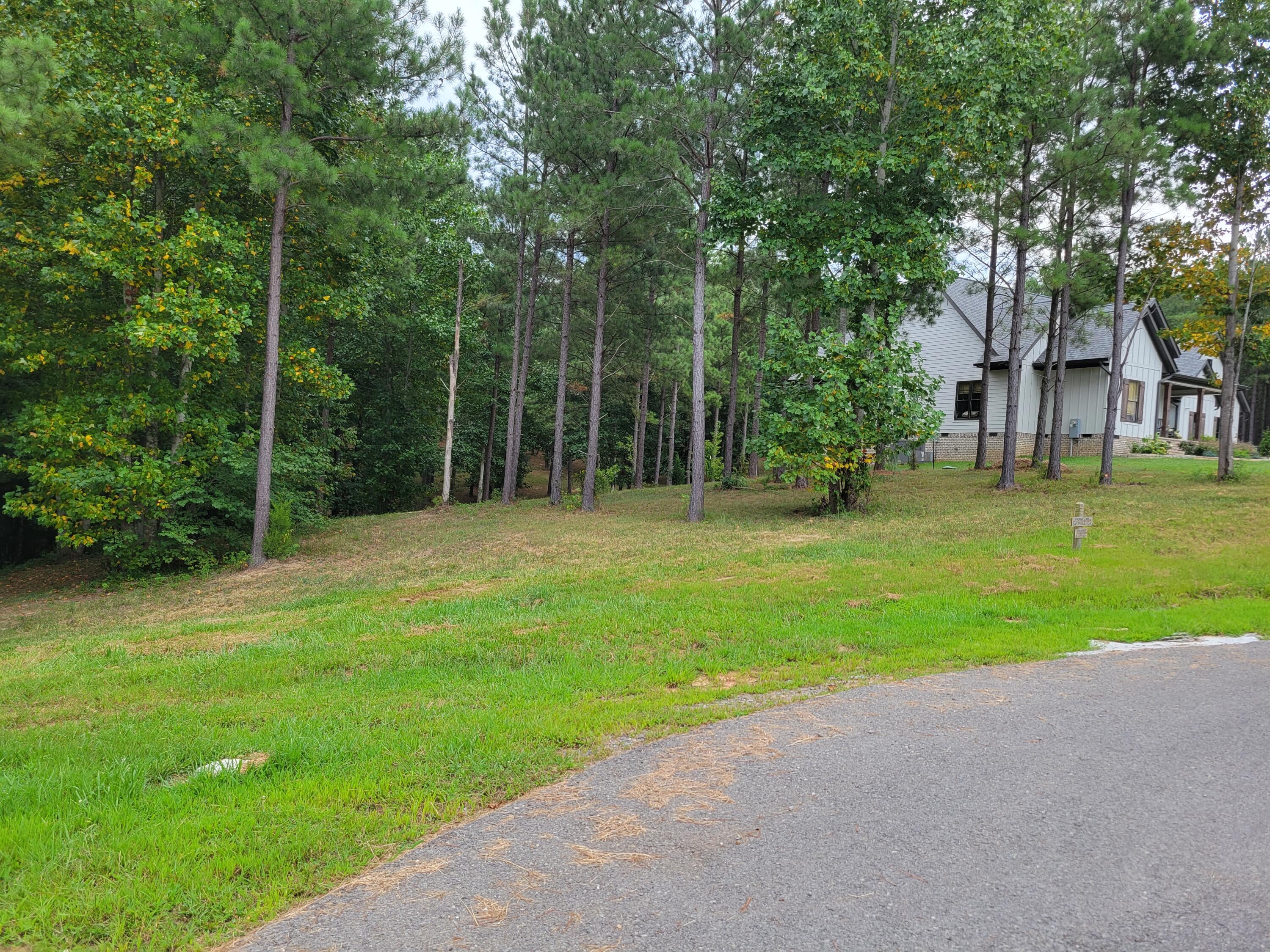 300 Deer Ridge Point #190, Jasper, Tennessee image 4