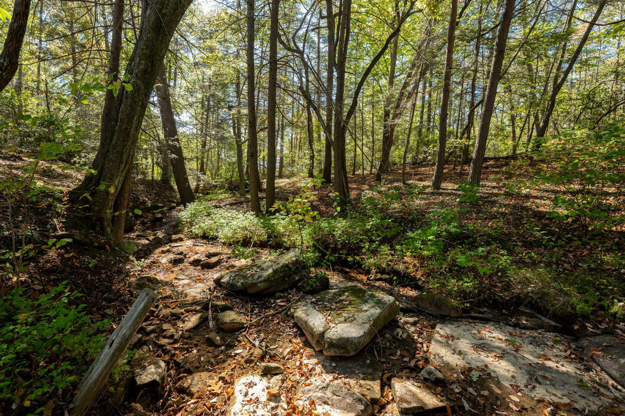 352 Lake Shore Drive, Pikeville, Tennessee image 20