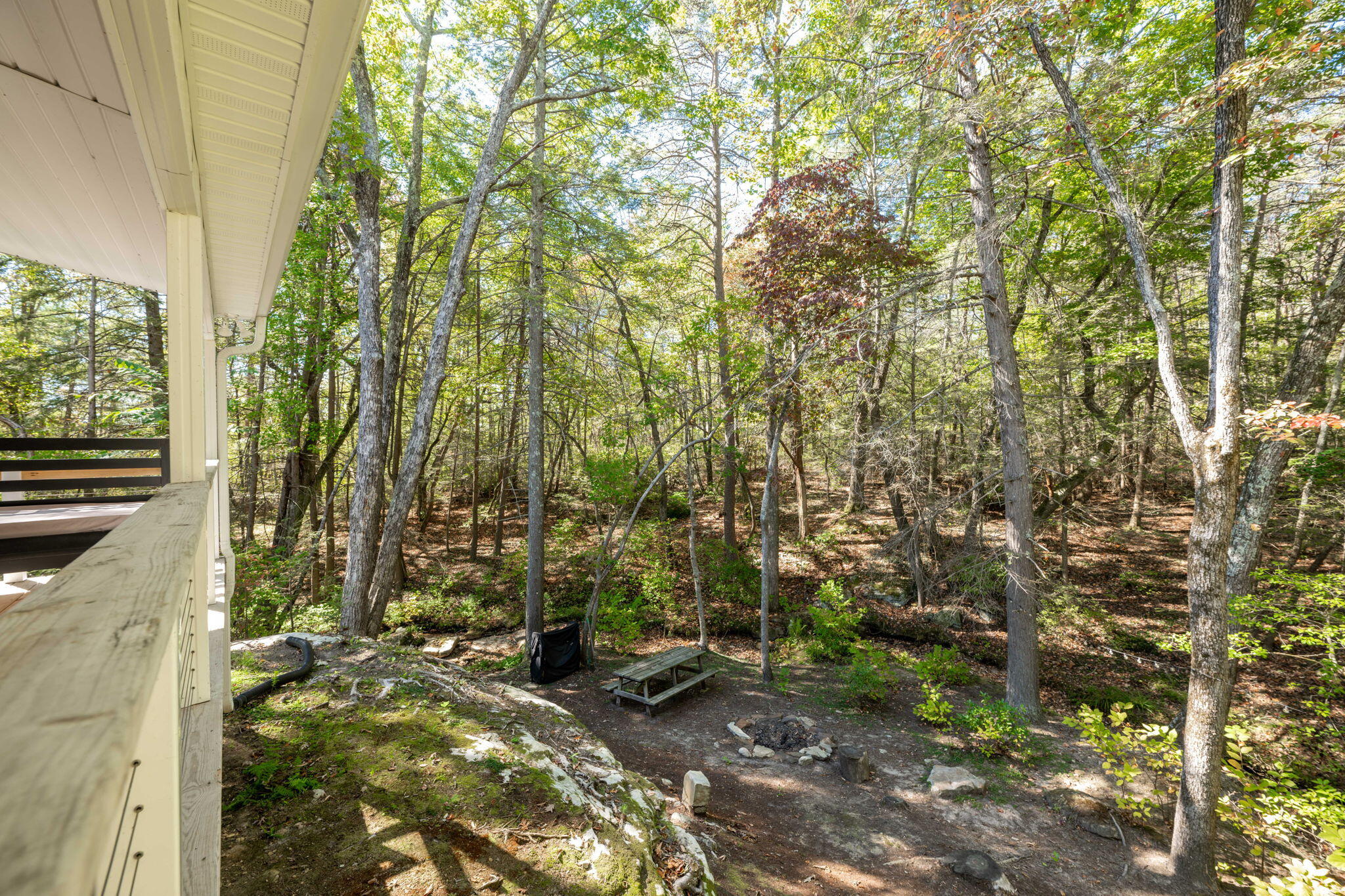 352 Lake Shore Drive, Pikeville, Tennessee image 16