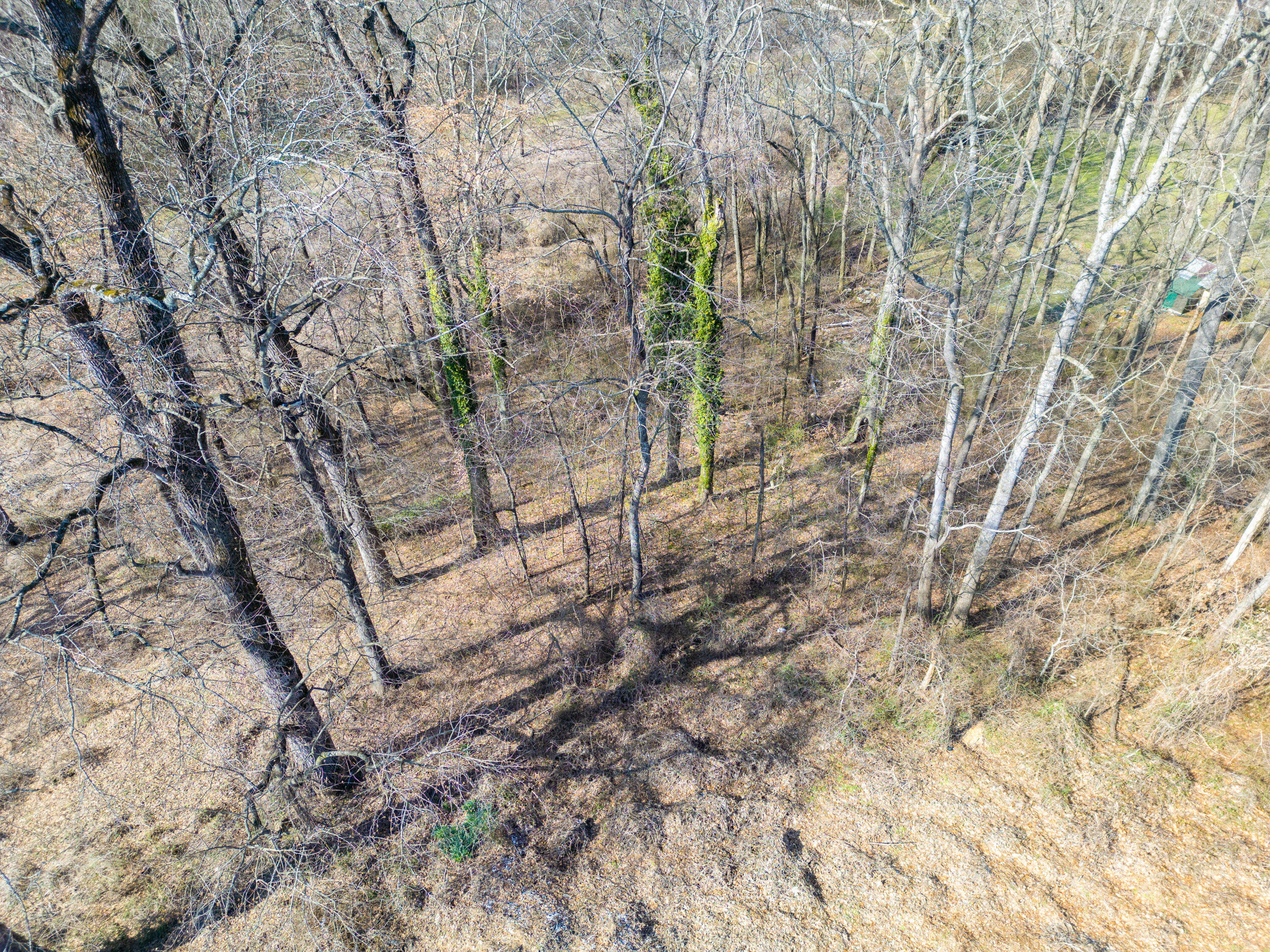 307 S Oak Street, Whitwell, Tennessee image 23
