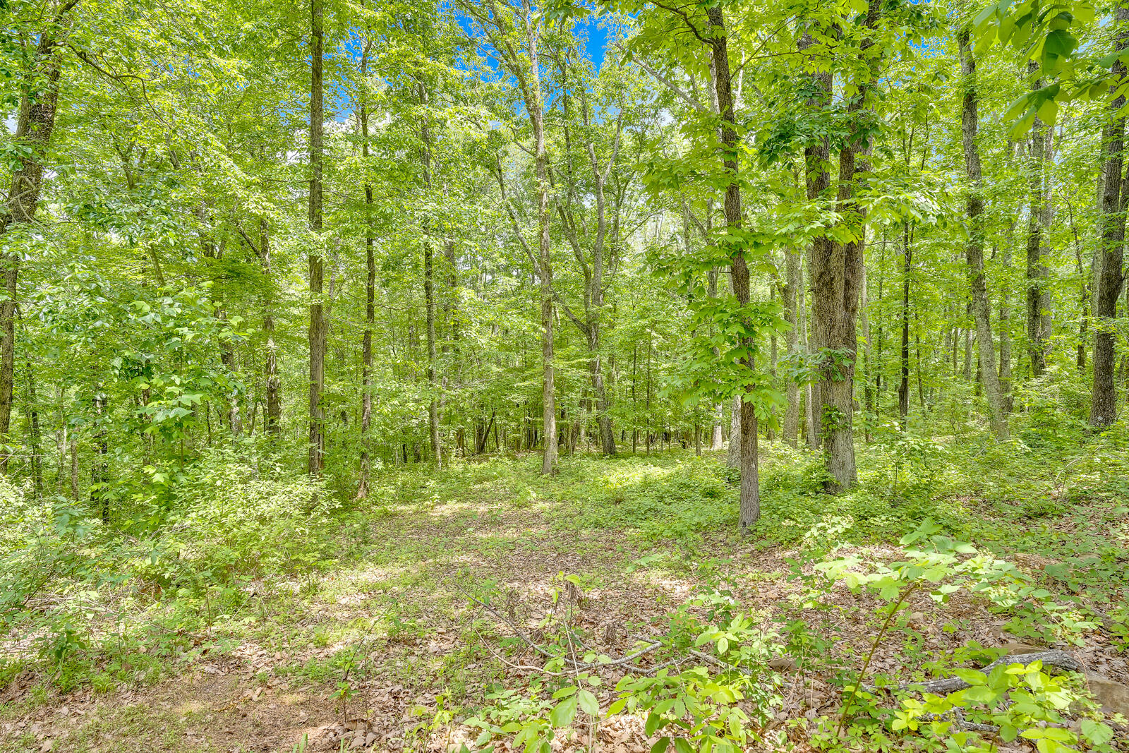 Sussex Lot 2 Road, Dayton, Tennessee image 1