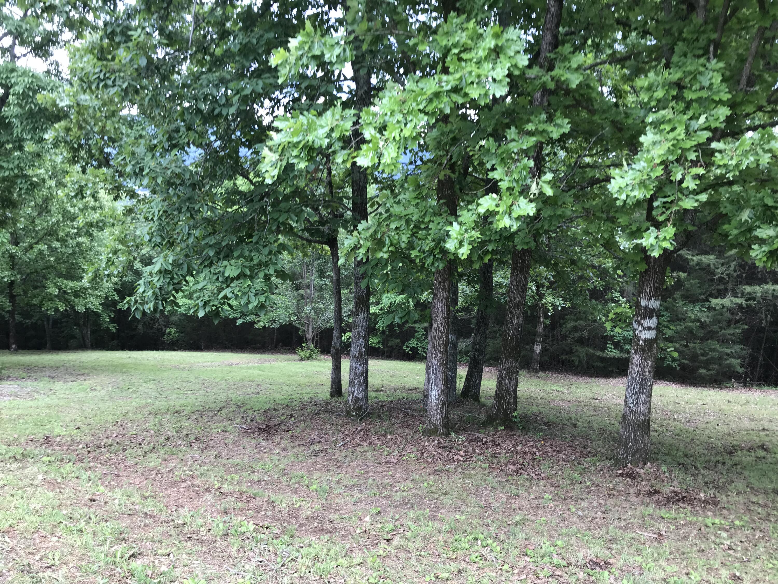 O Skyhigh Dr #2122, Dunlap, Tennessee image 6
