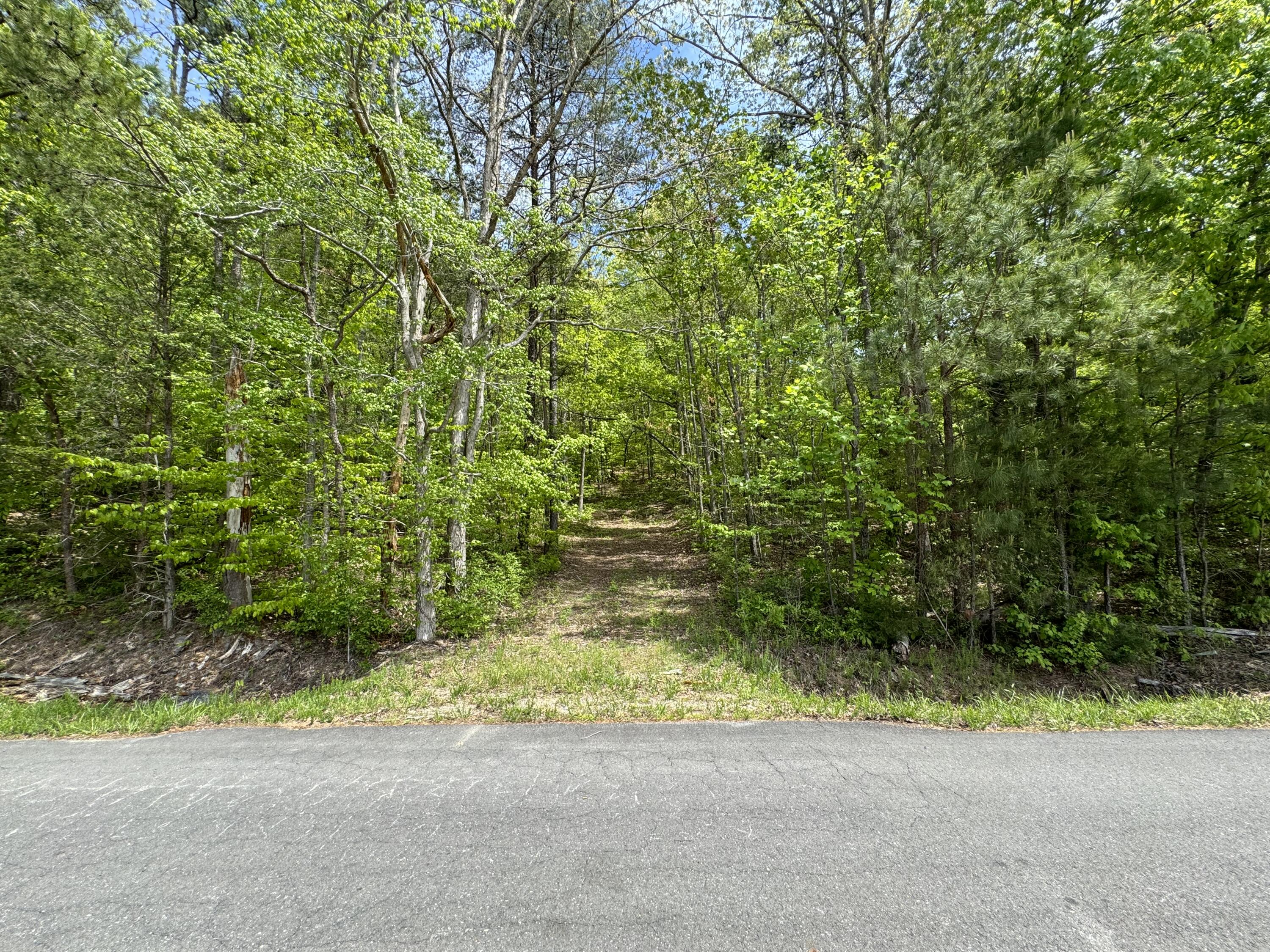 Wimpy Road, Rocky Face, Georgia image 4
