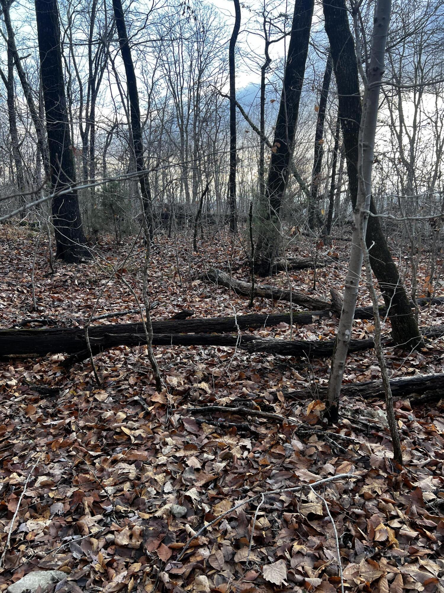 Rocky Ledge Drive, Hixson, Tennessee image 20