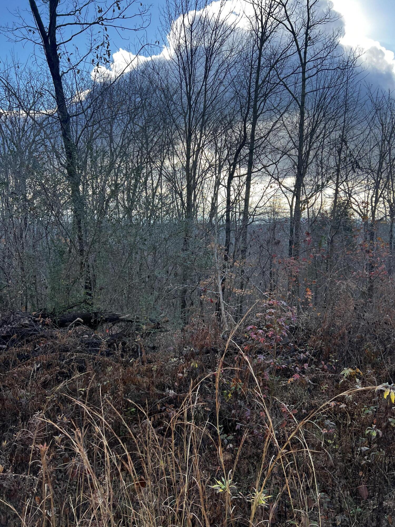 Rocky Ledge Drive, Hixson, Tennessee image 19