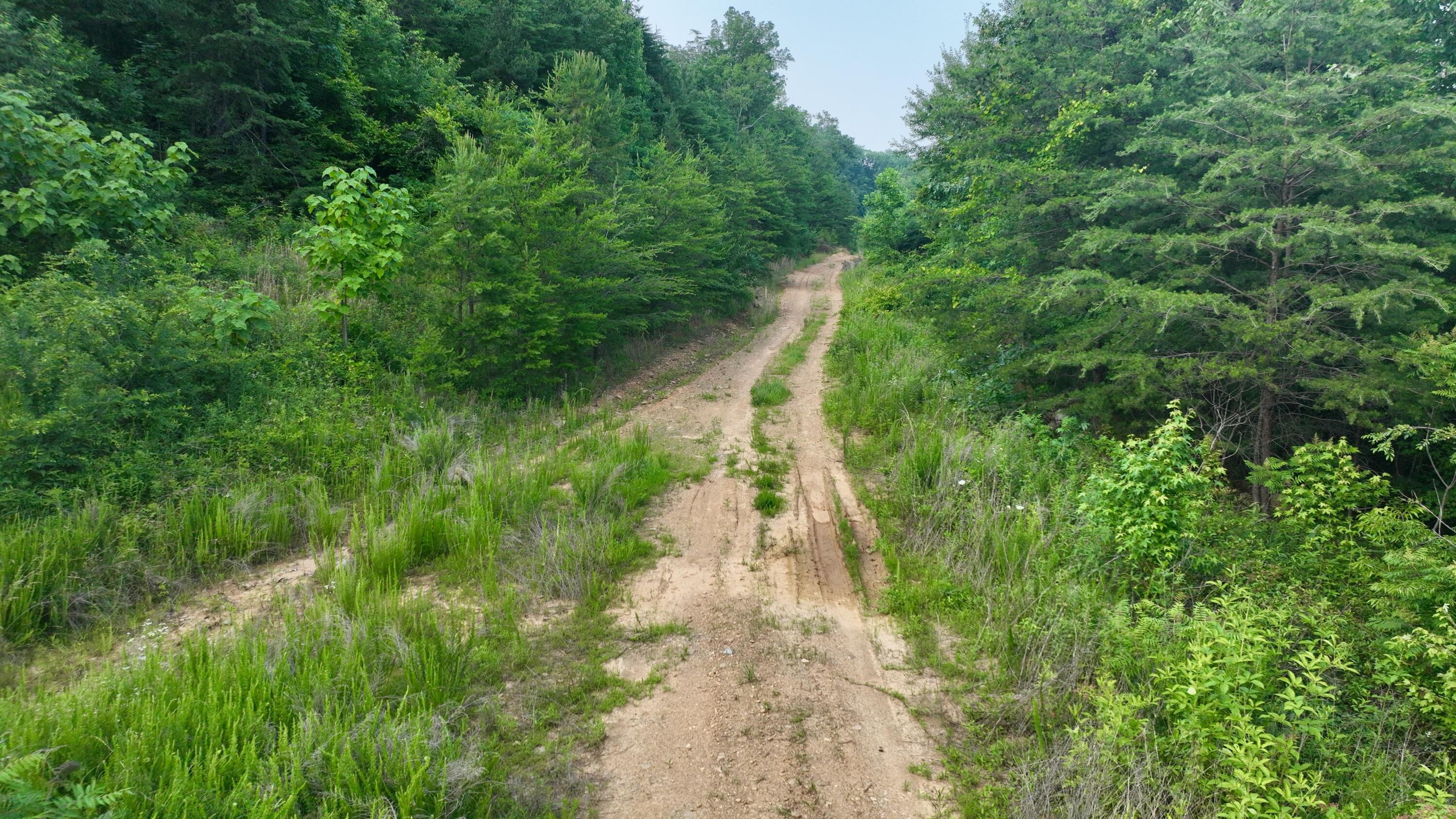 Rocky Ledge Drive, Hixson, Tennessee image 6