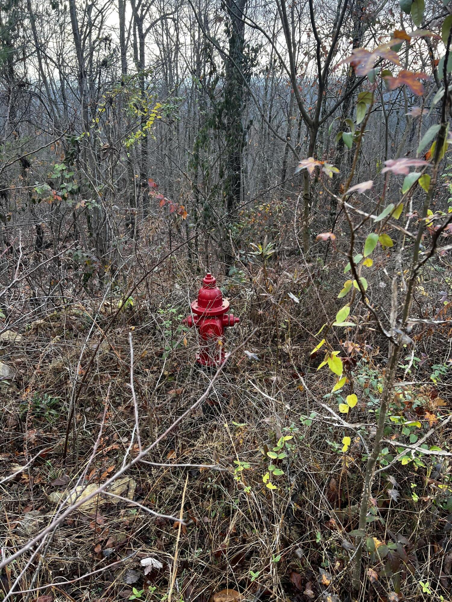Rocky Ledge Drive, Hixson, Tennessee image 21